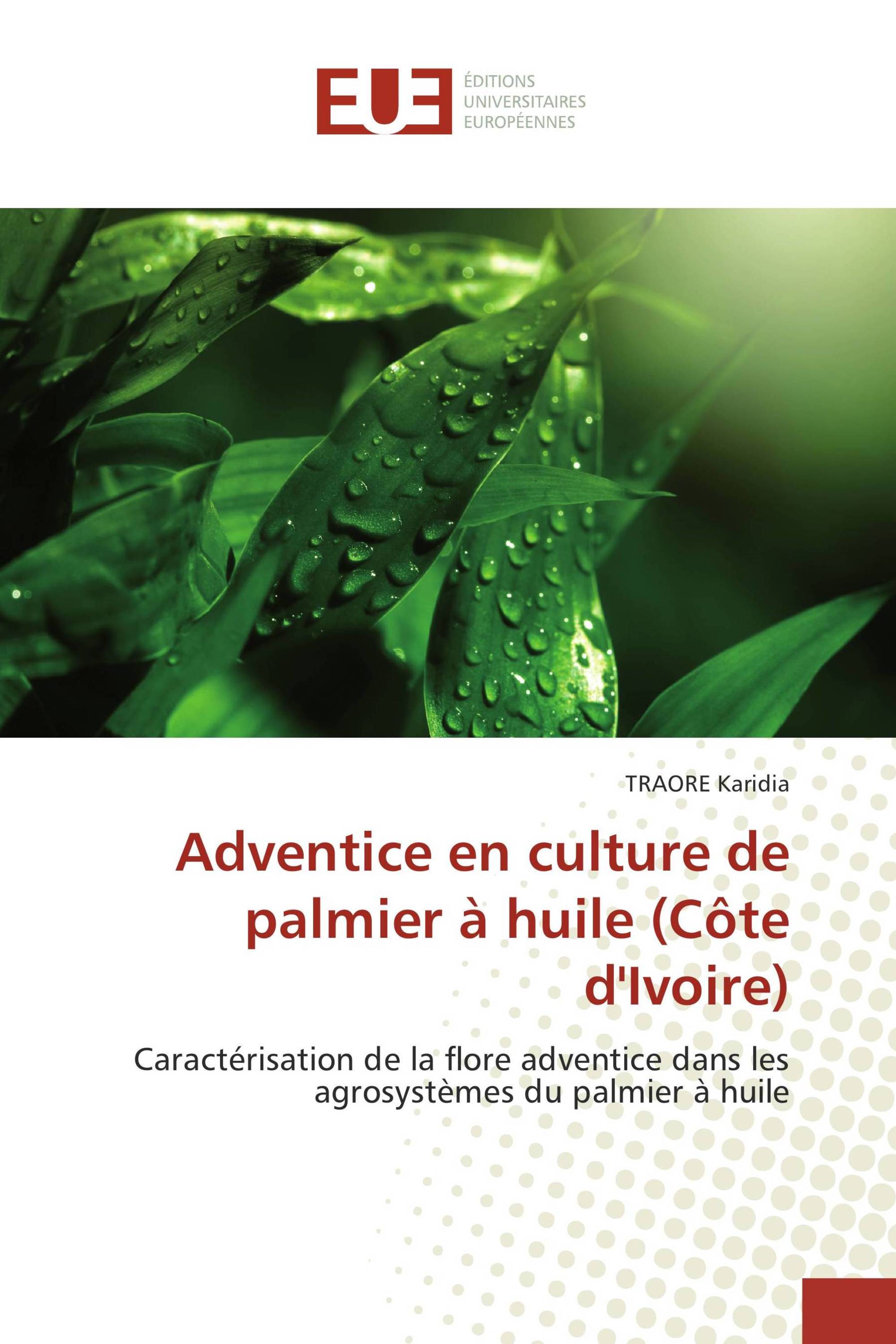 Adventice en culture de palmier à huile (Côte d'Ivoire)