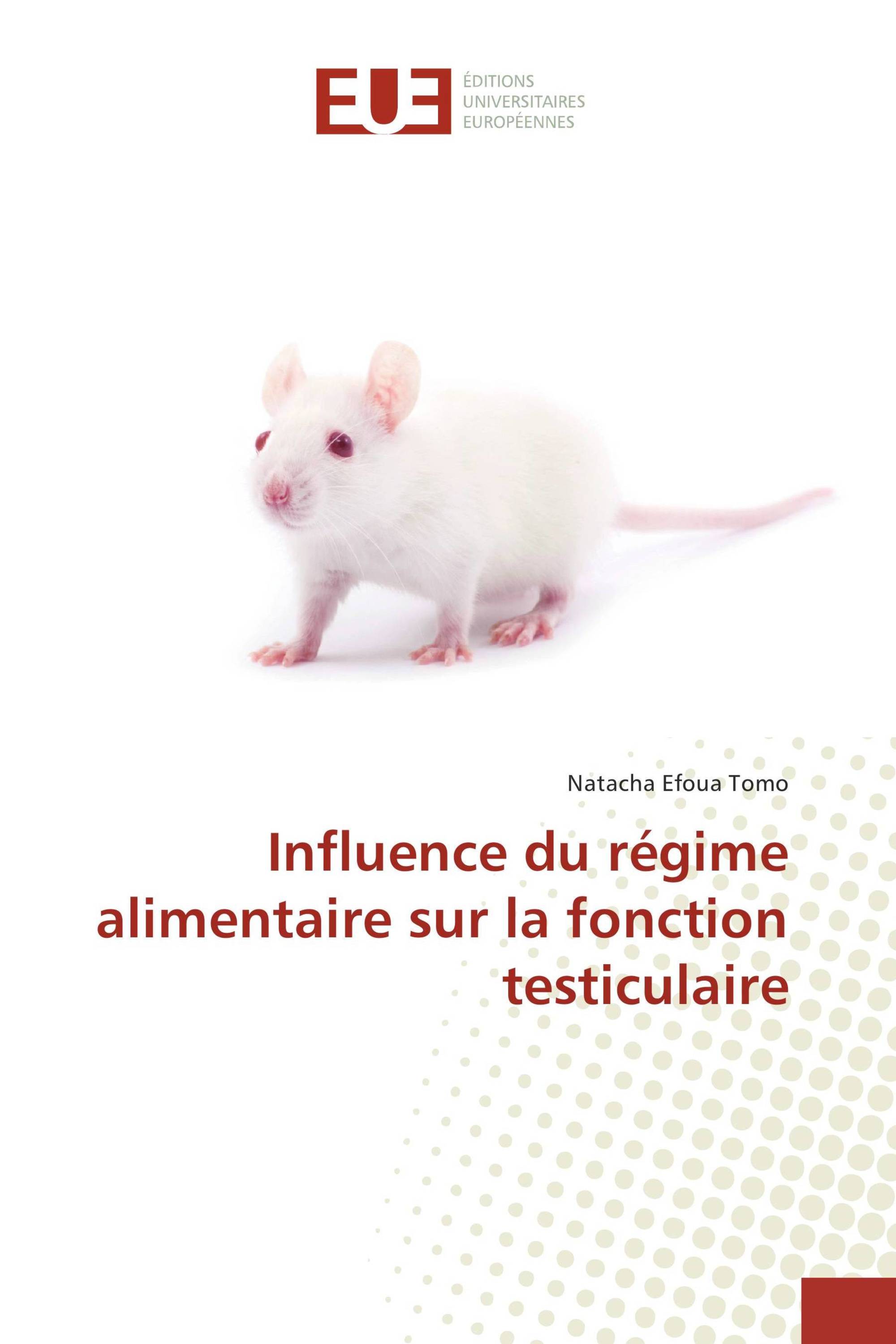 Influence du régime alimentaire sur la fonction testiculaire