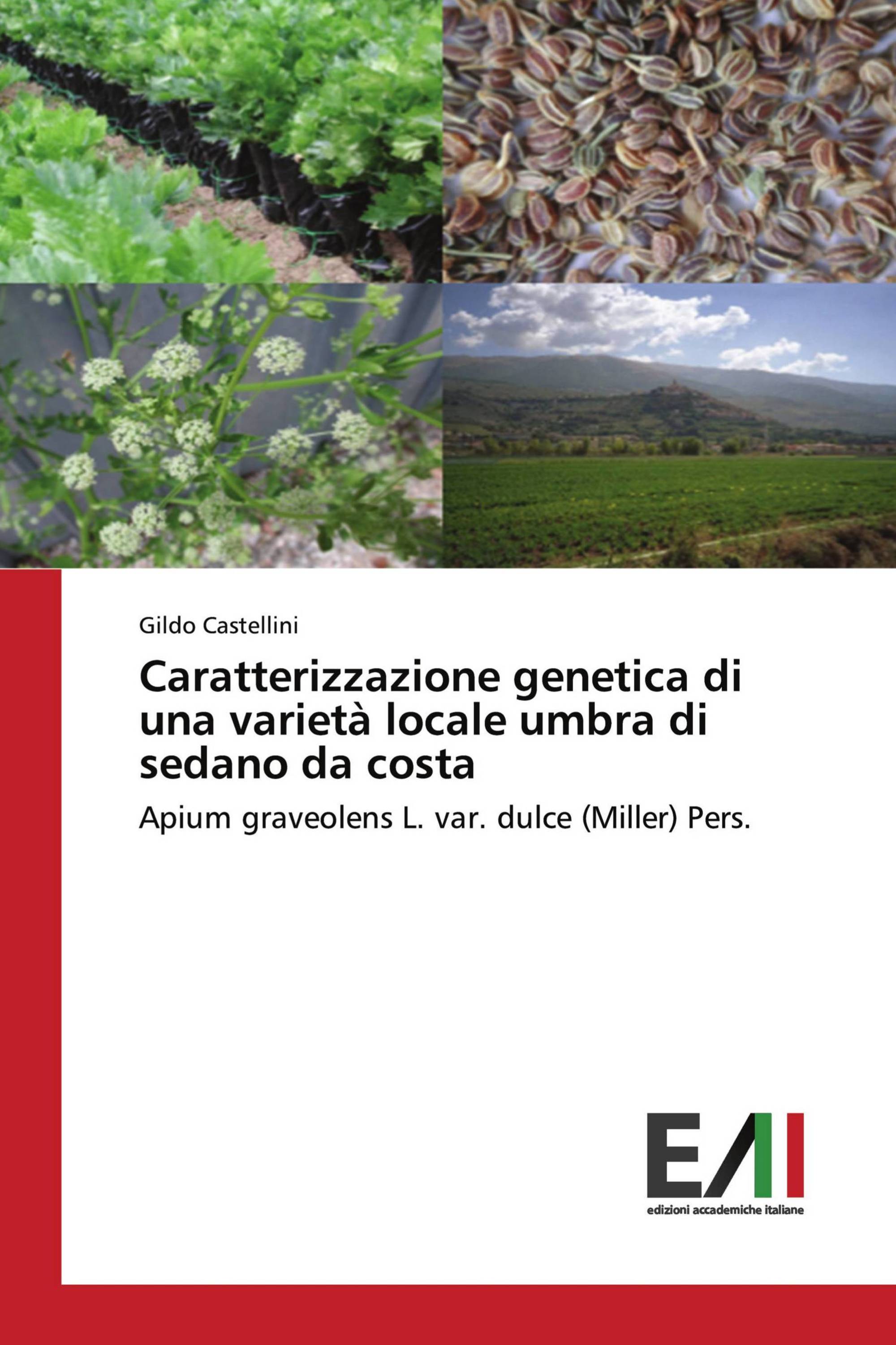 Caratterizzazione genetica di una varietà locale umbra di sedano da costa