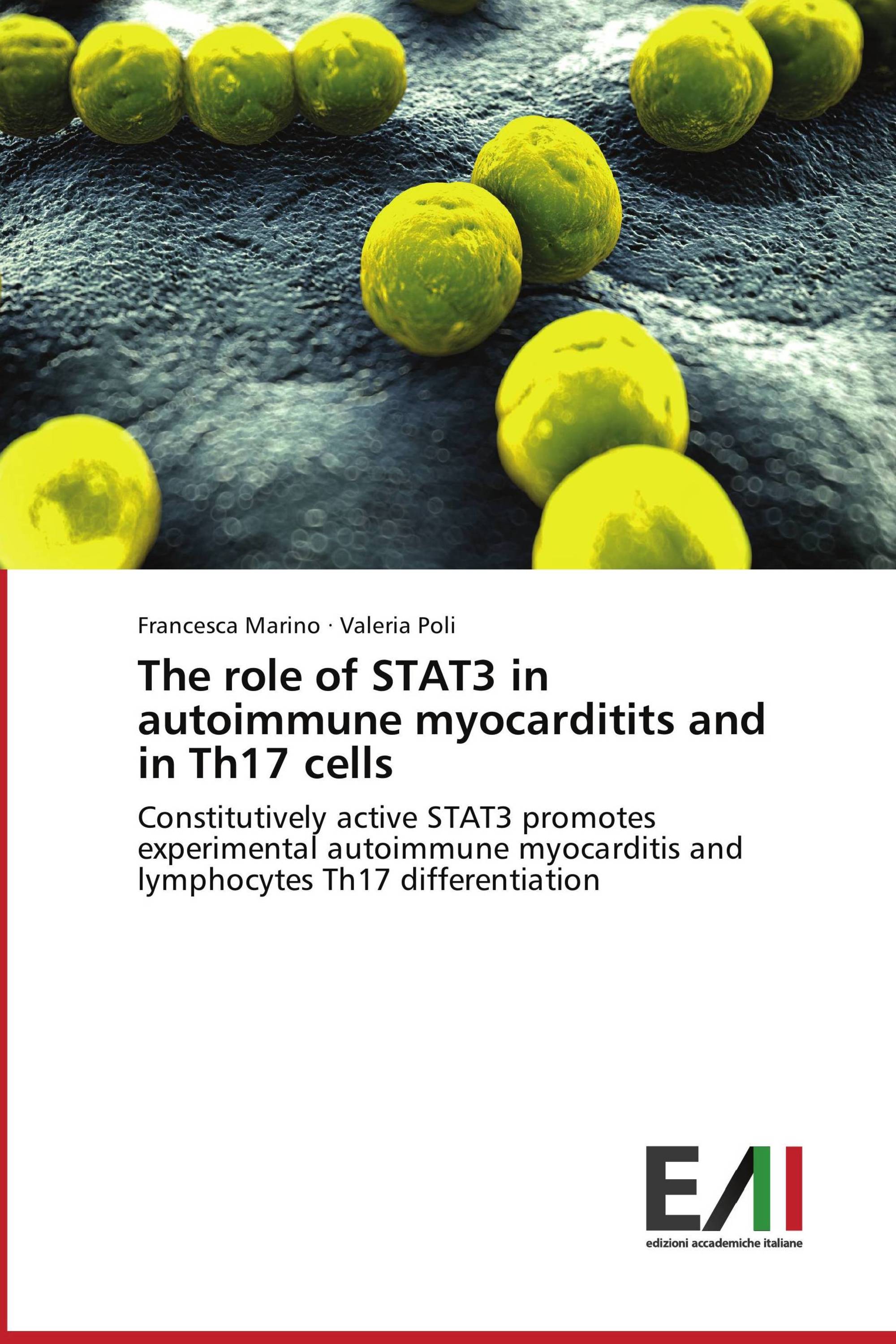 The role of STAT3 in autoimmune myocarditits and in Th17 cells