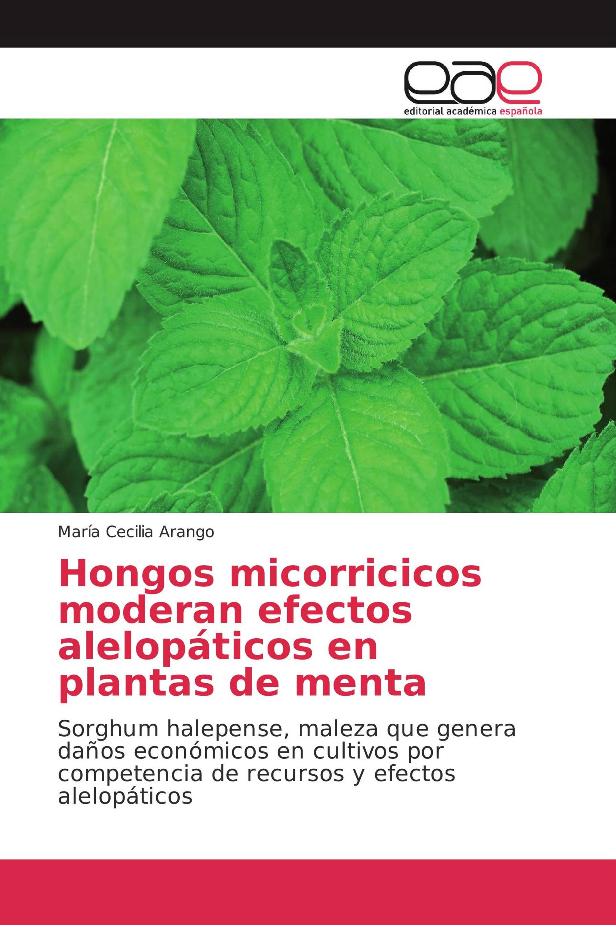 Hongos micorricicos moderan efectos alelopáticos en plantas de menta