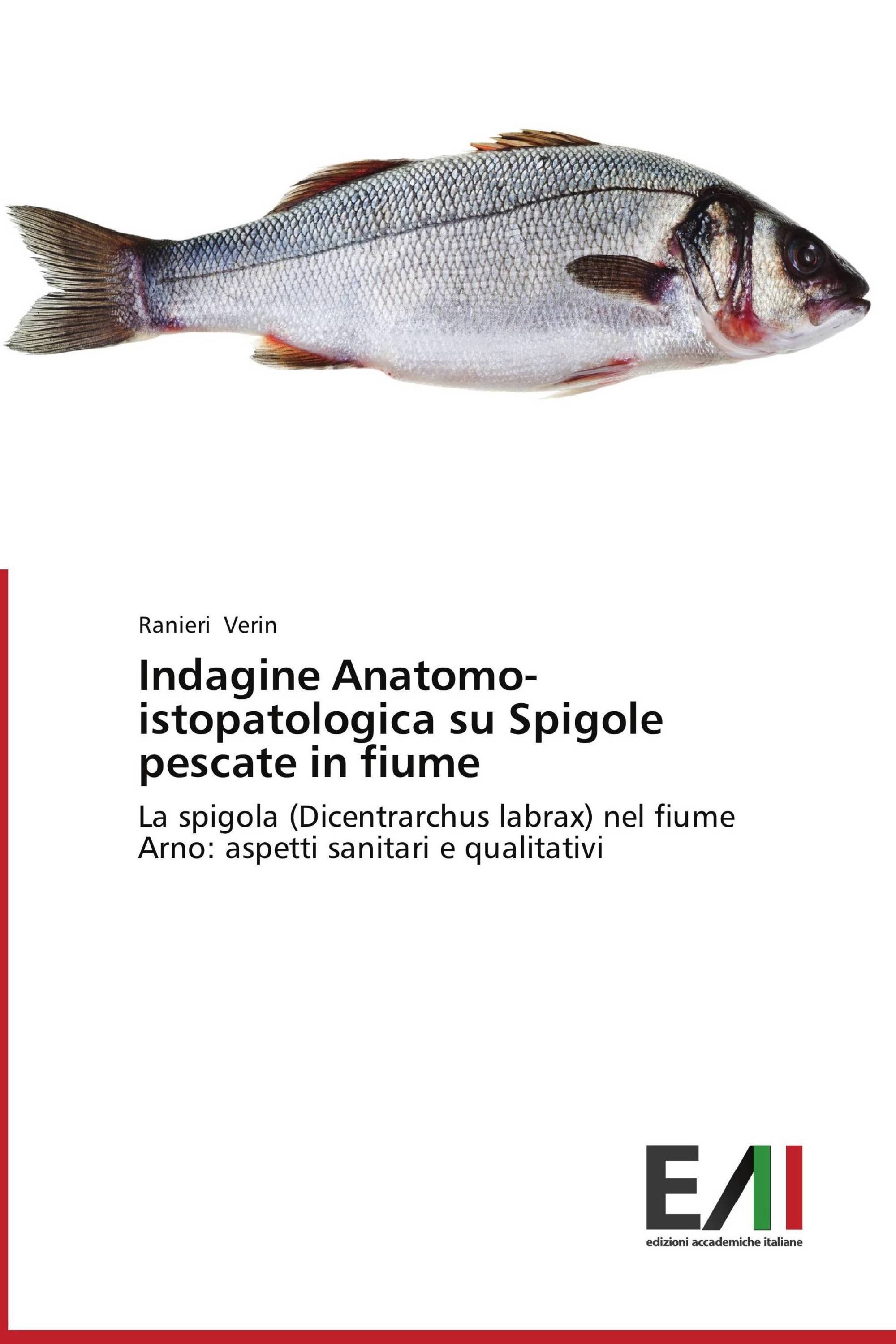 Indagine Anatomo-istopatologica su Spigole pescate in fiume