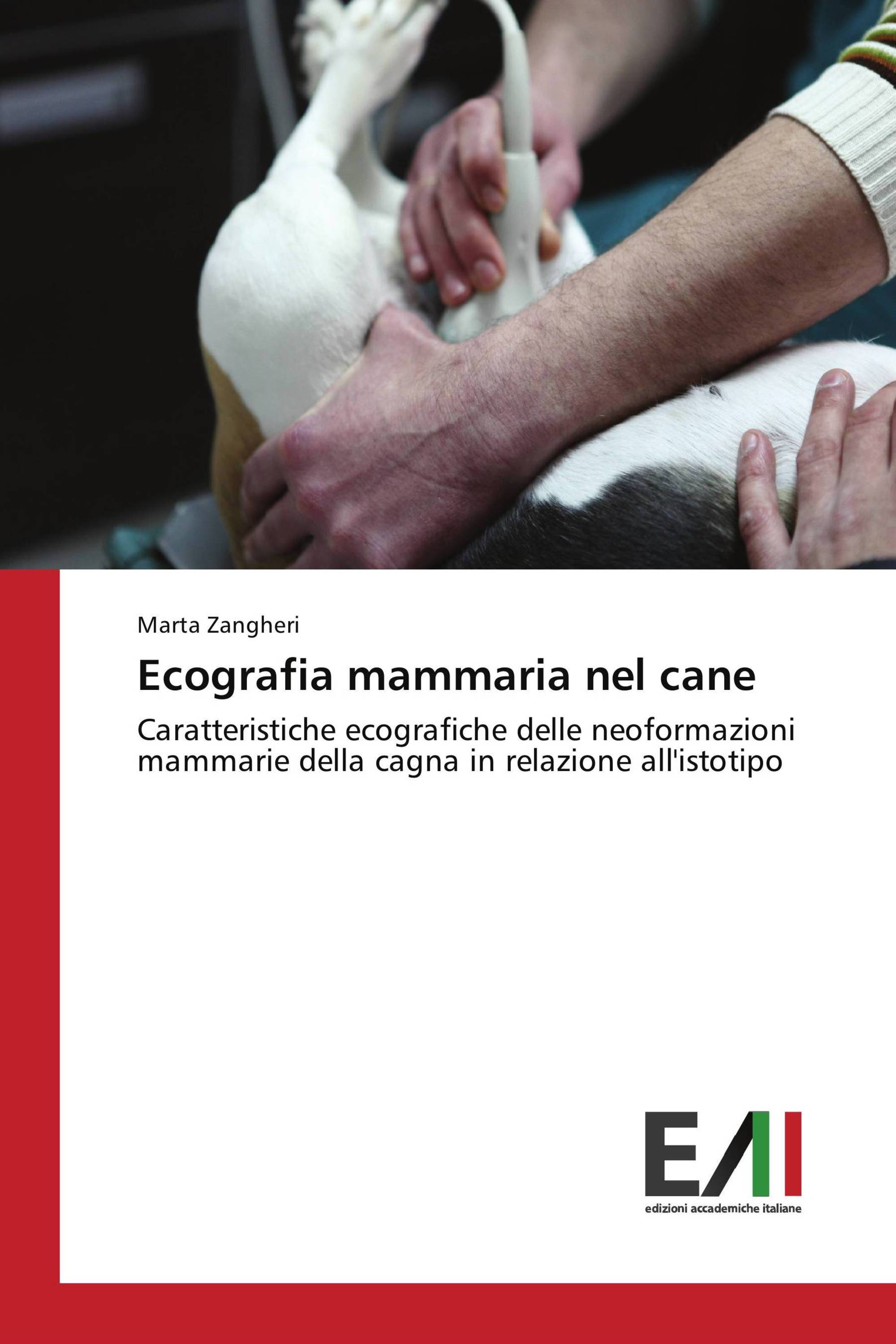 Ecografia mammaria nel cane