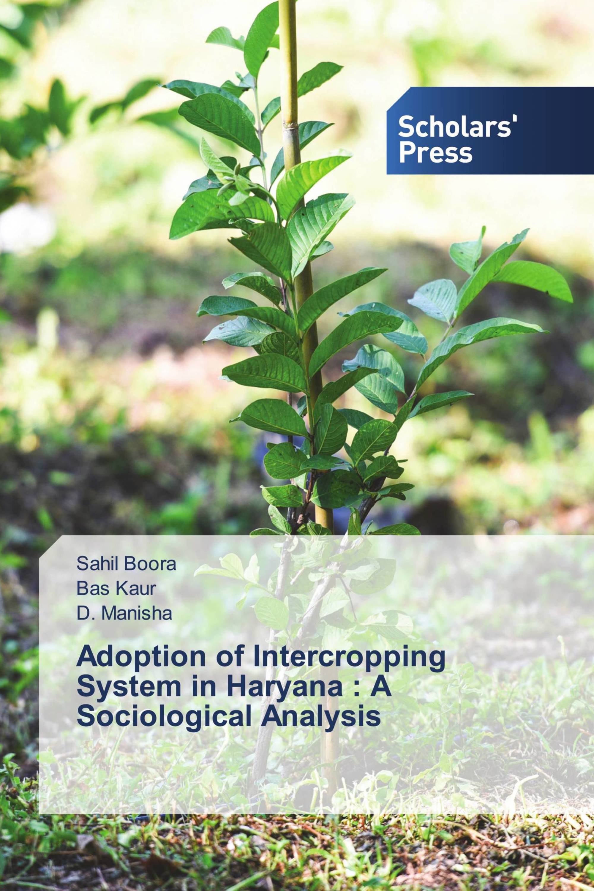 Adoption of Intercropping System in Haryana : A Sociological Analysis