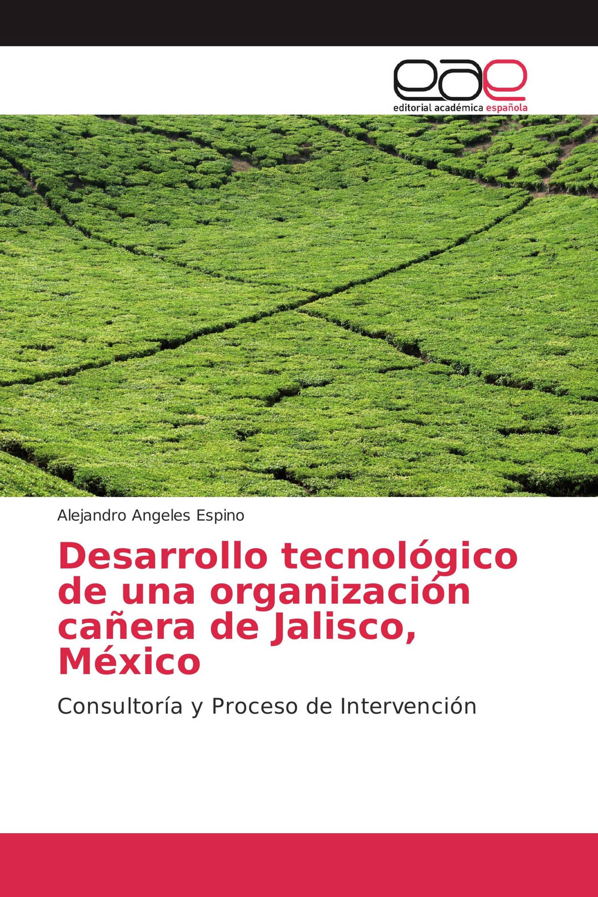 Desarrollo tecnológico de una organización cañera de Jalisco, México