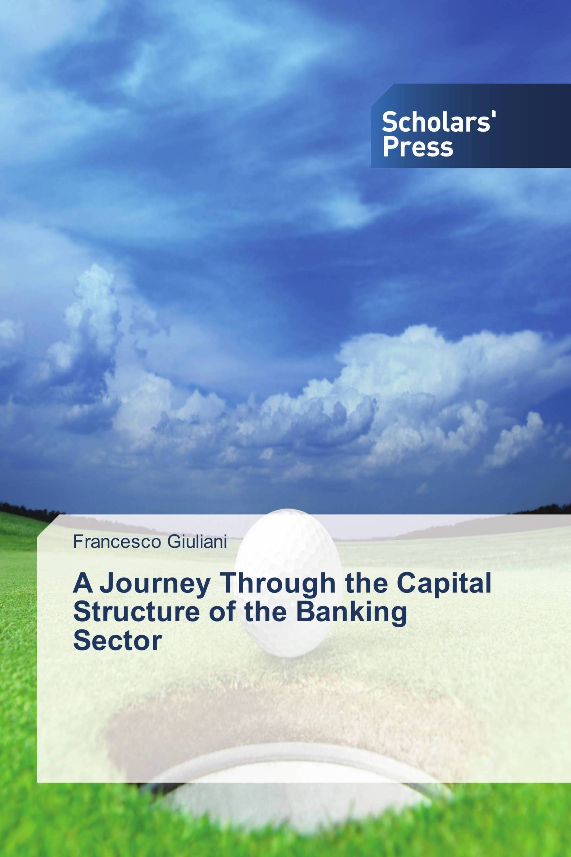 A Journey Through the Capital Structure of the Banking Sector