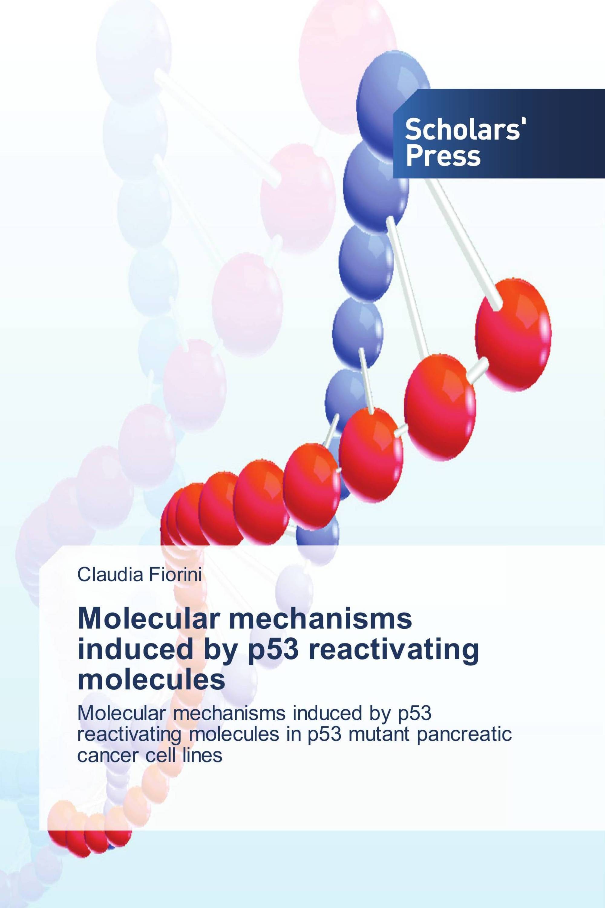 Molecular mechanisms induced by p53 reactivating molecules