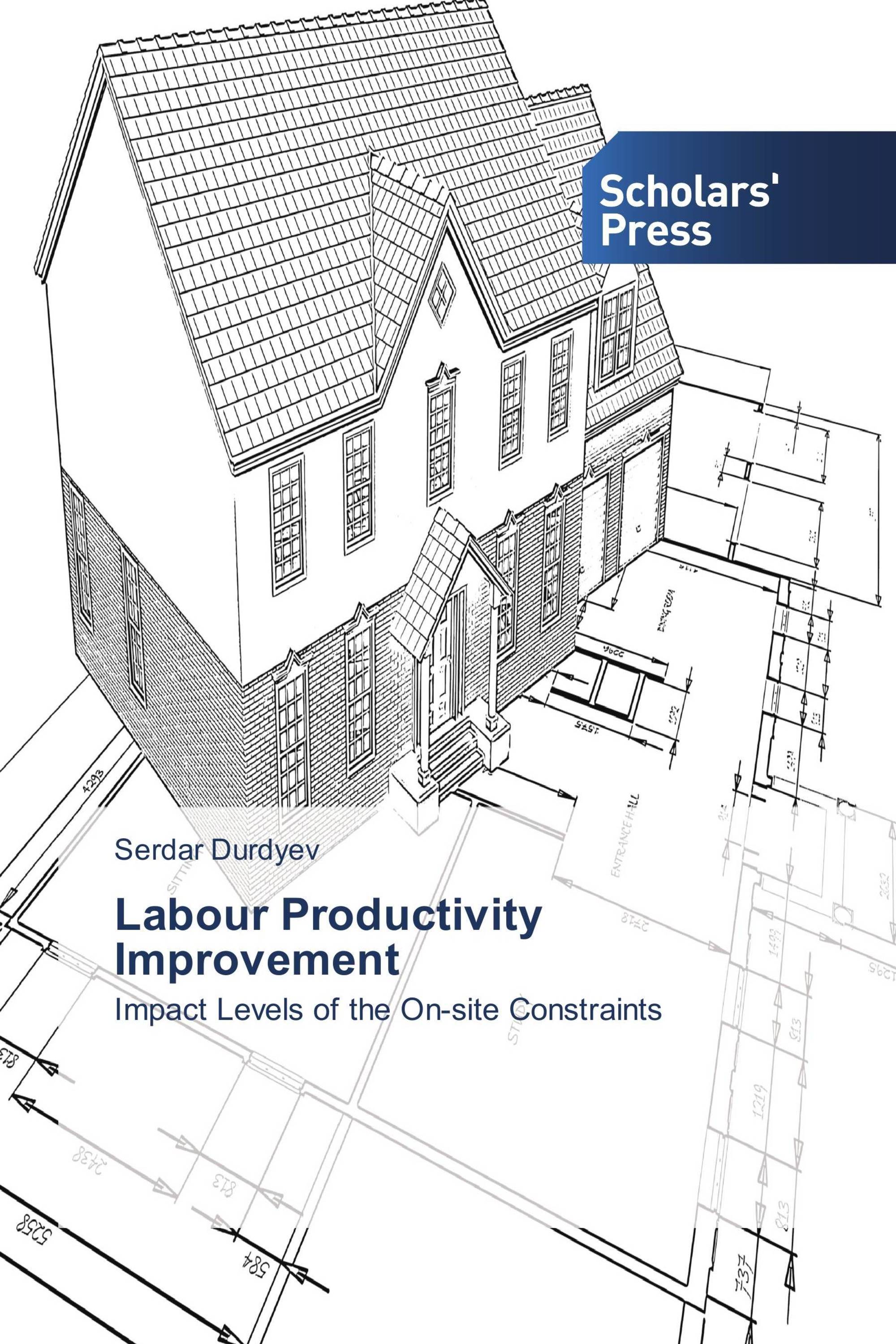 Labour Productivity Improvement