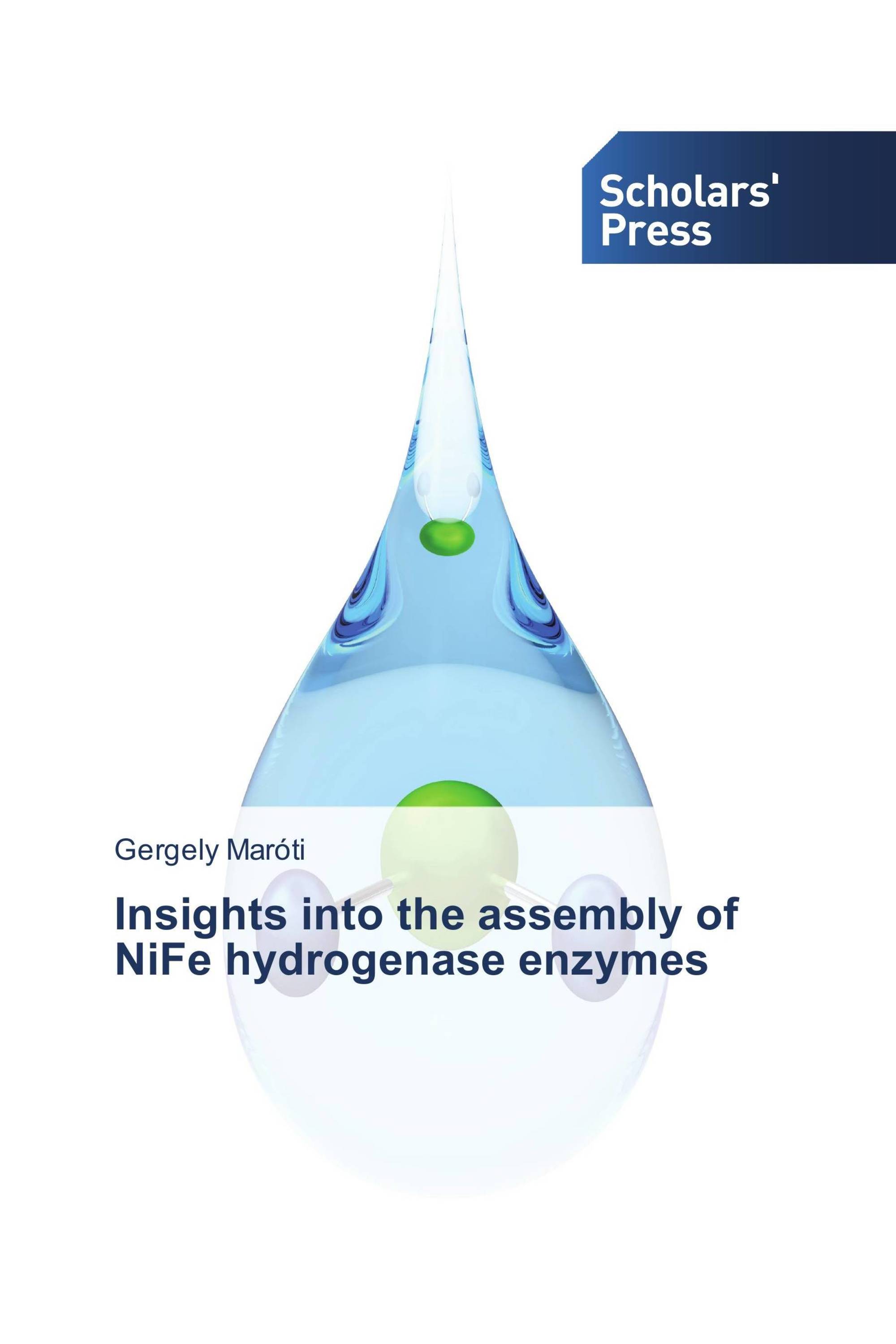 Insights into the assembly of NiFe hydrogenase enzymes