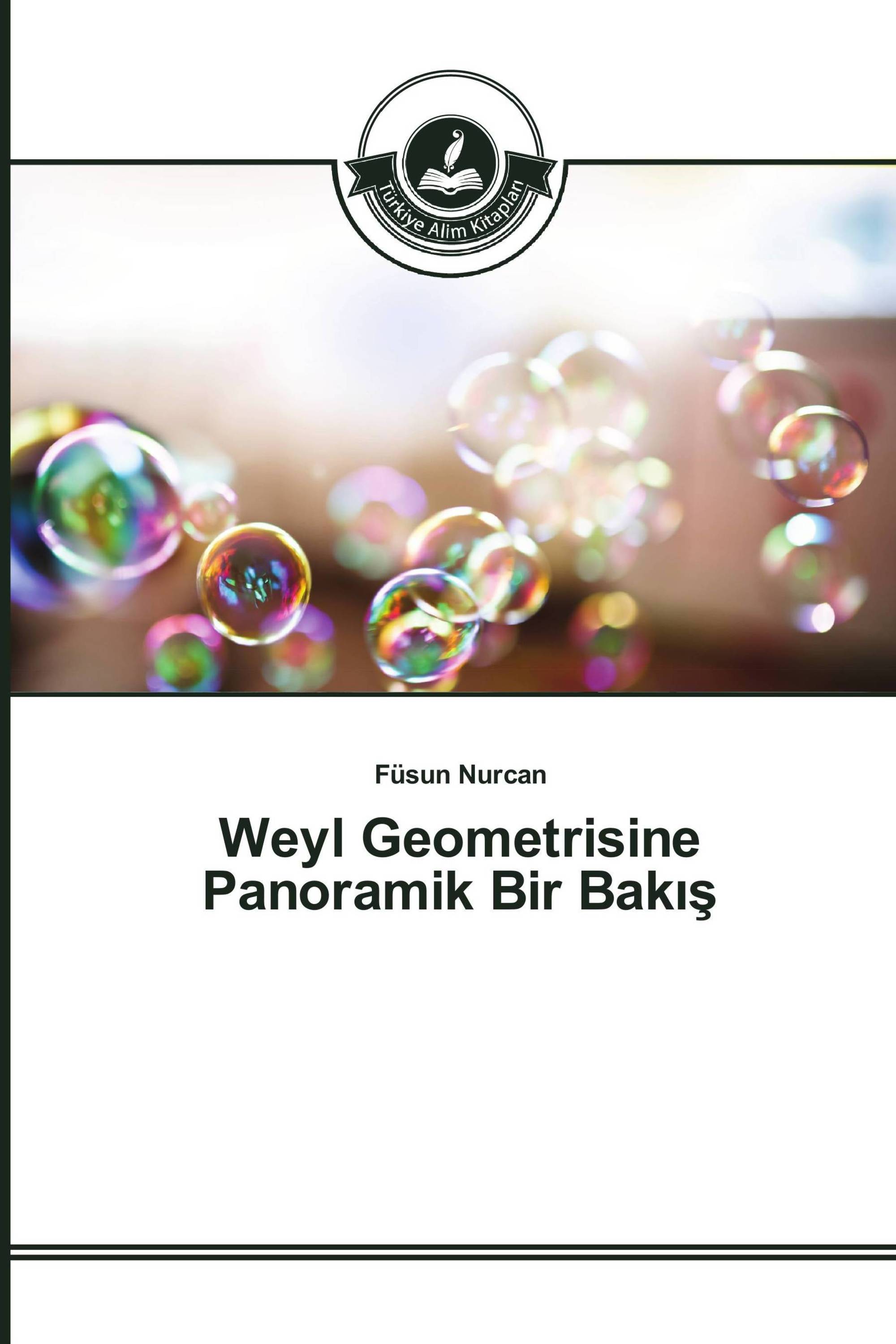 Weyl Geometrisine Panoramik Bir Bakış