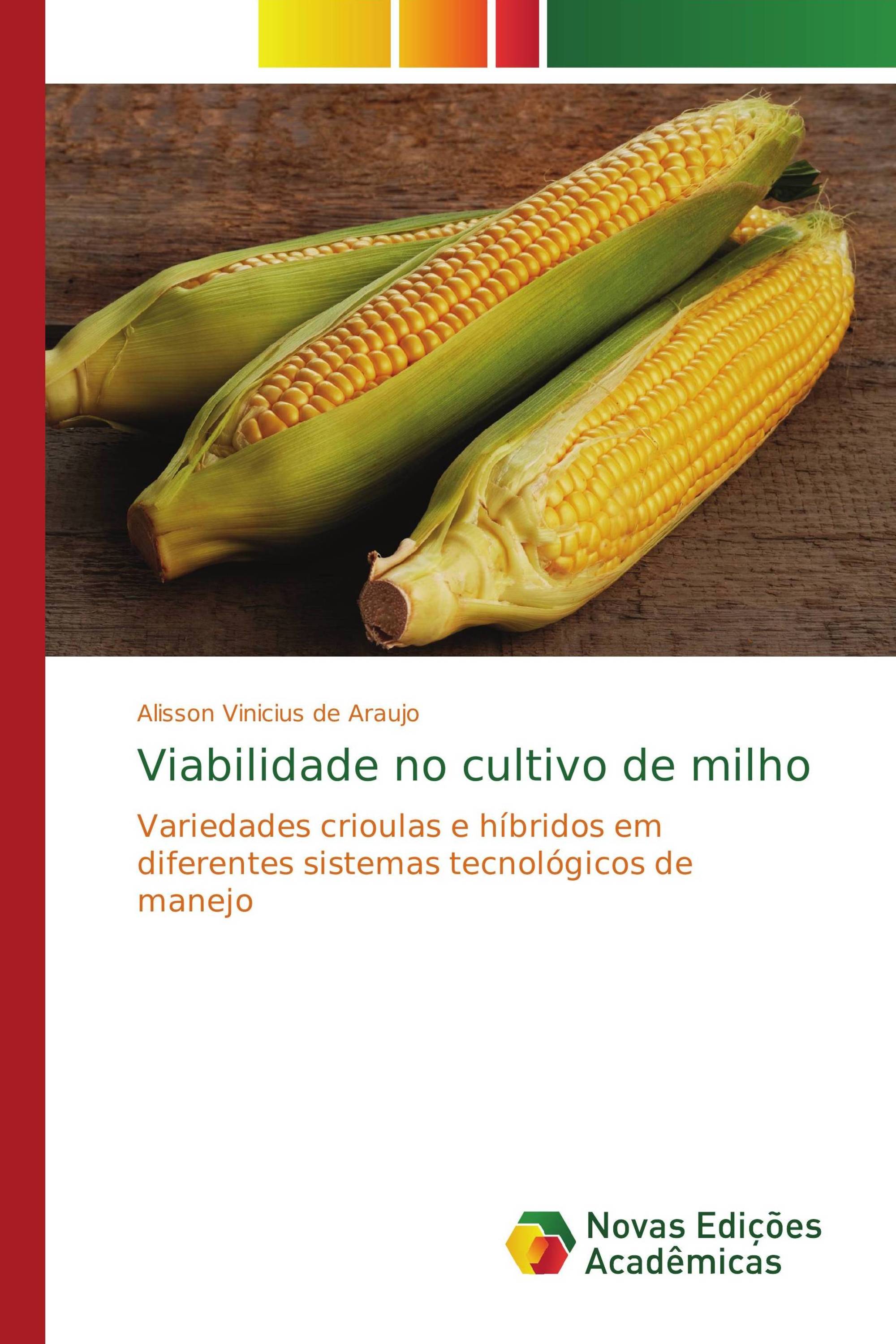 Viabilidade no cultivo de milho