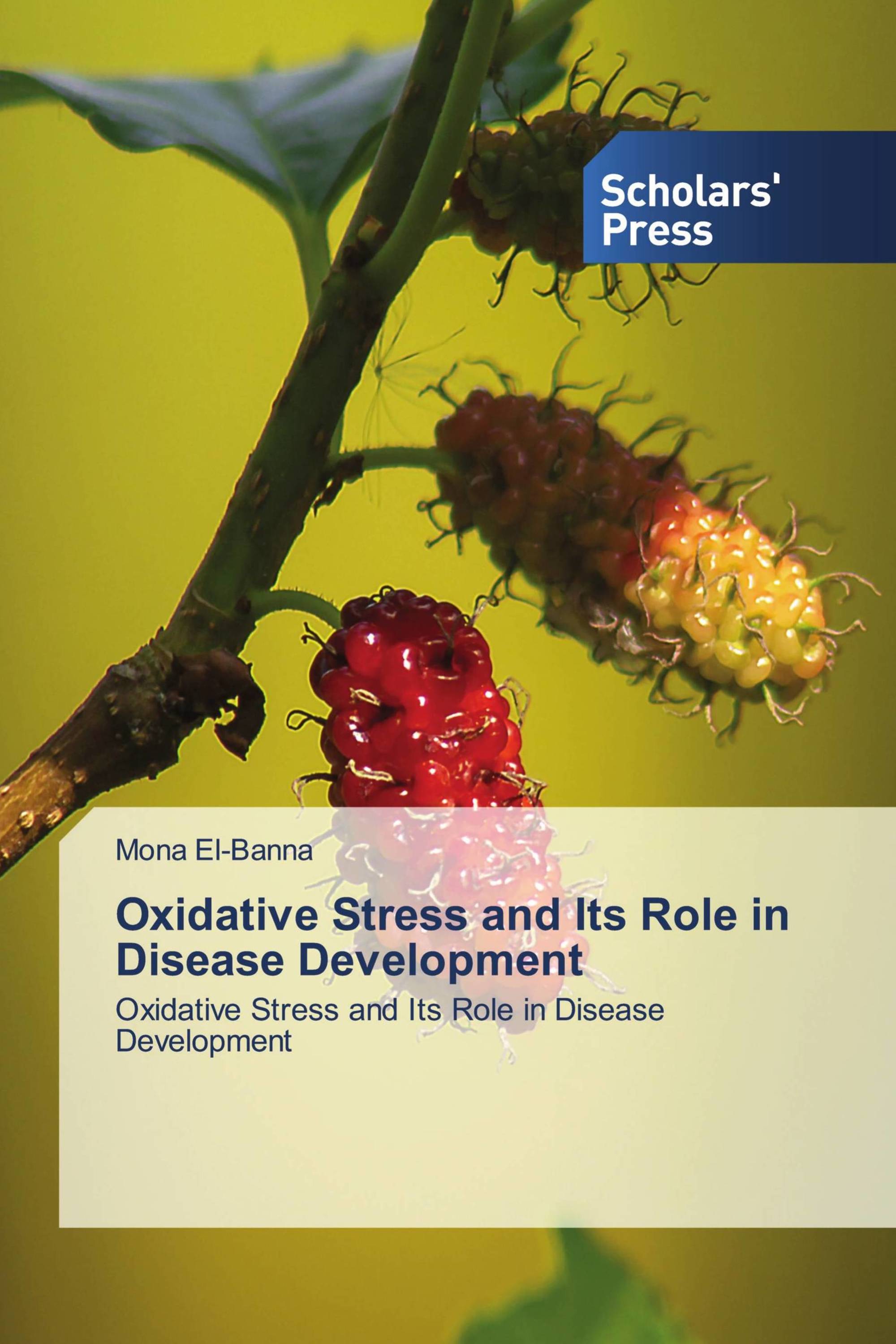 Oxidative Stress and Its Role in Disease Development