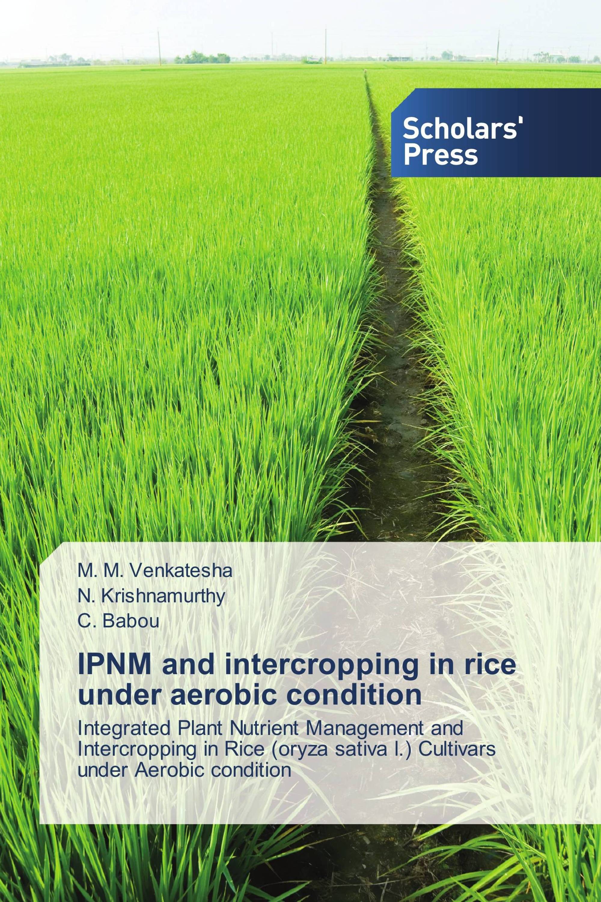 IPNM and intercropping in rice under aerobic condition