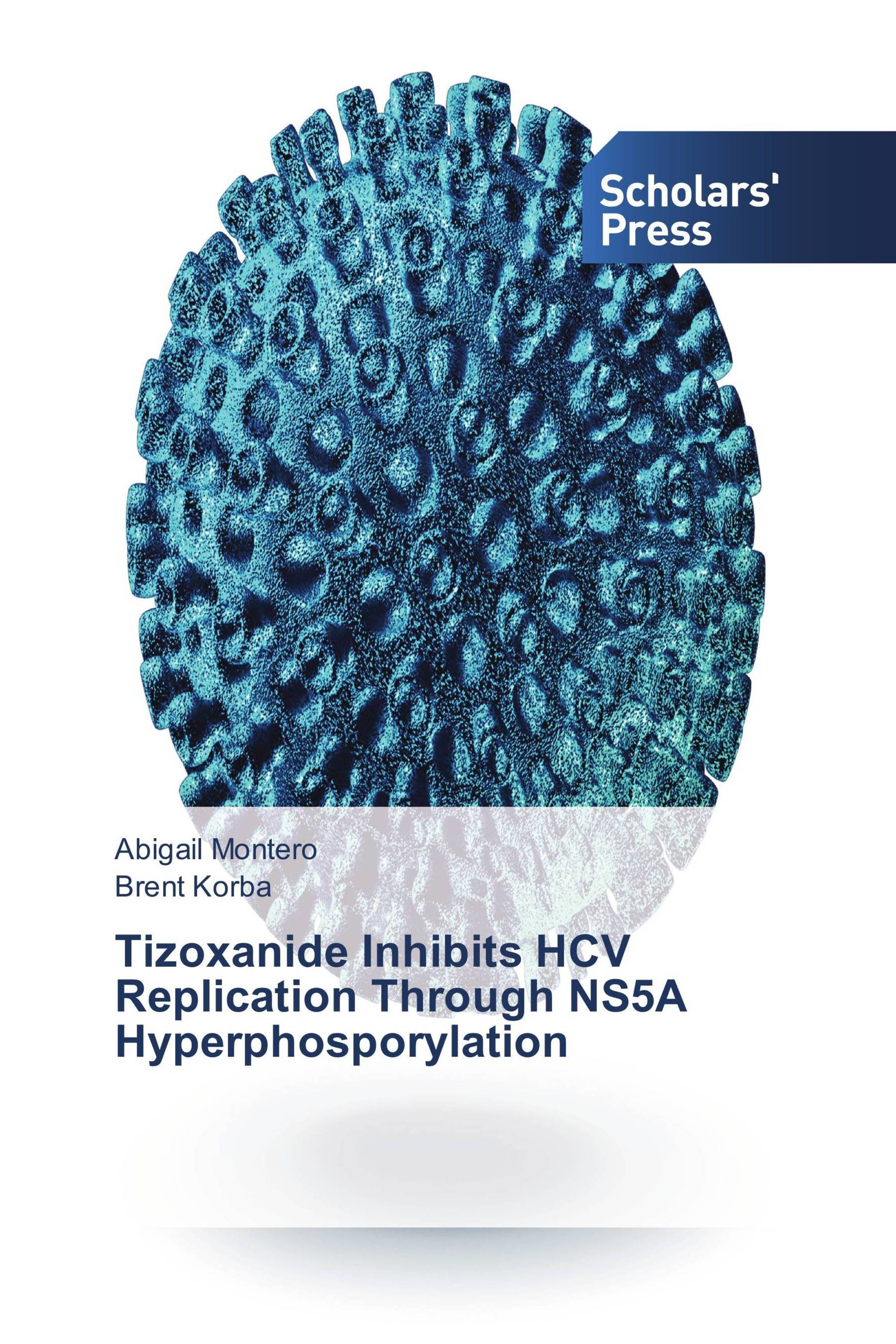 Tizoxanide Inhibits HCV Replication Through NS5A Hyperphosporylation