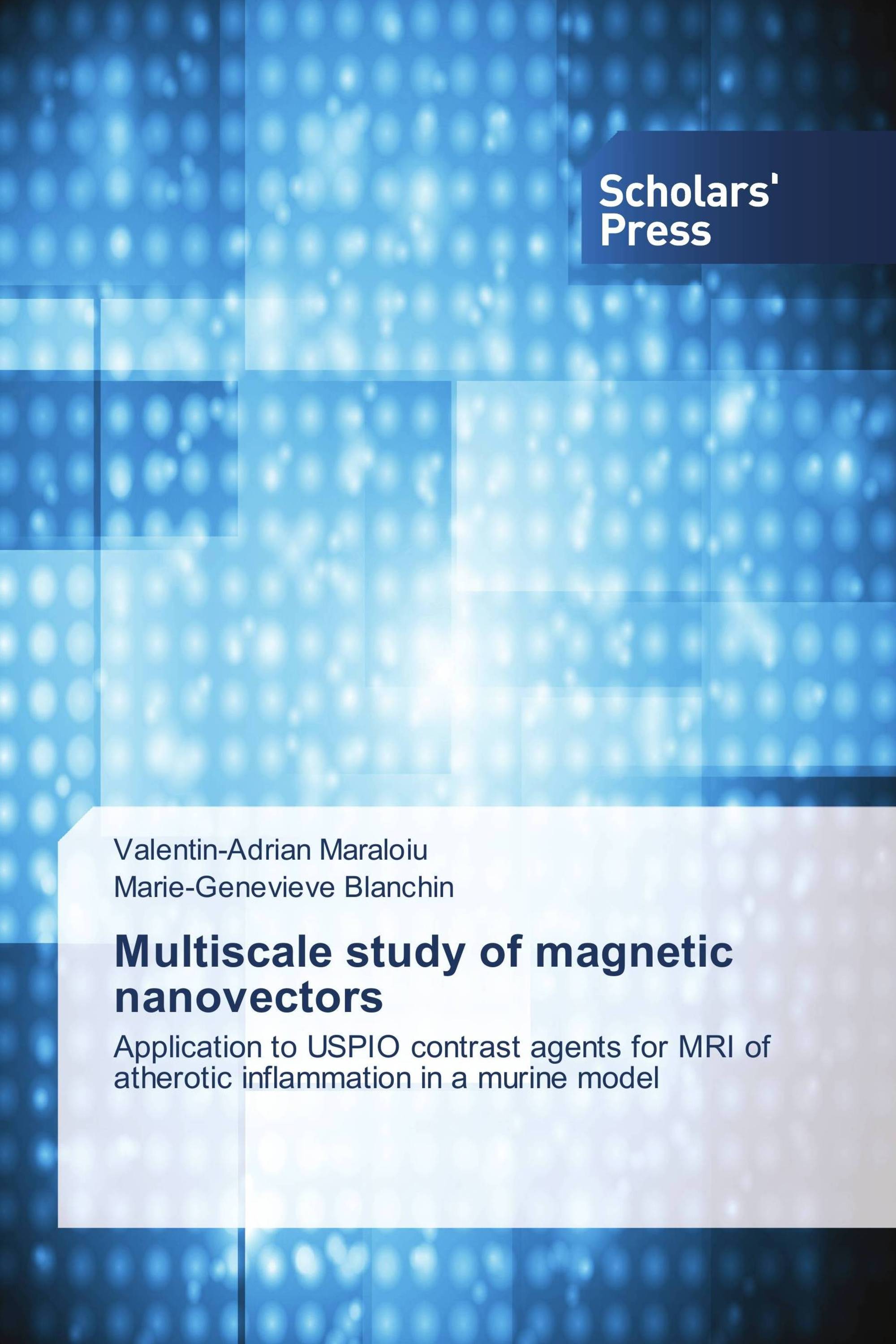 Multiscale study of magnetic nanovectors