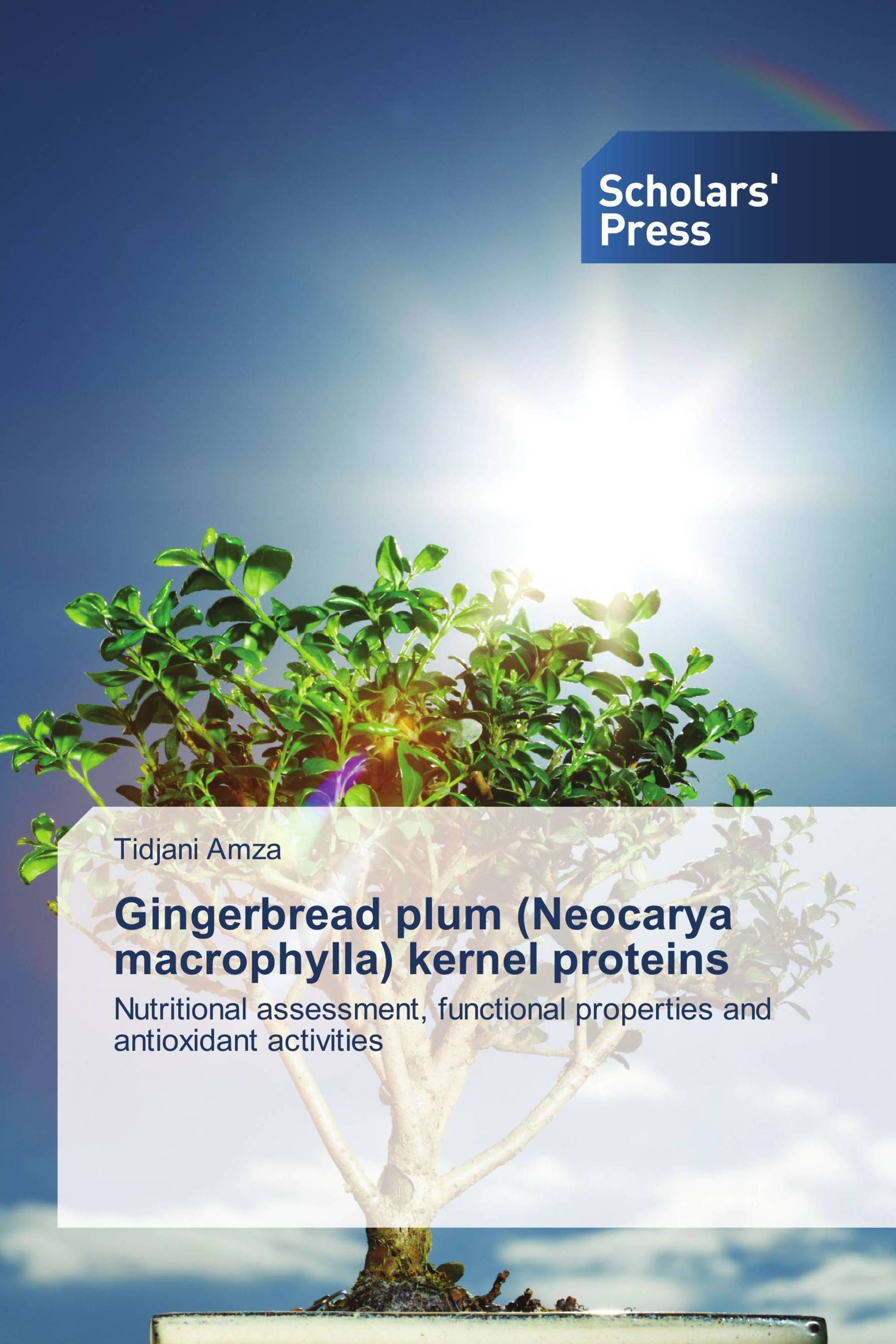 Gingerbread plum (Neocarya macrophylla) kernel proteins