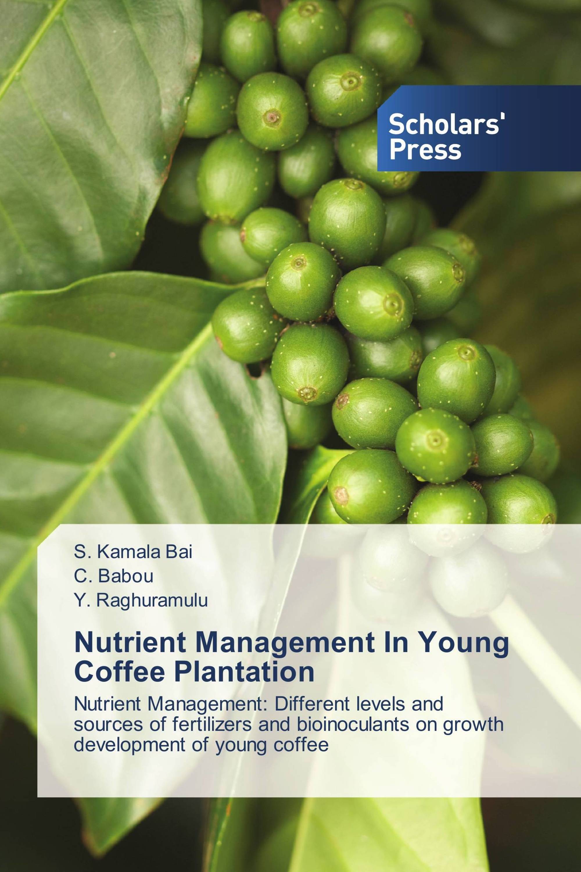 Nutrient Management In Young Coffee Plantation