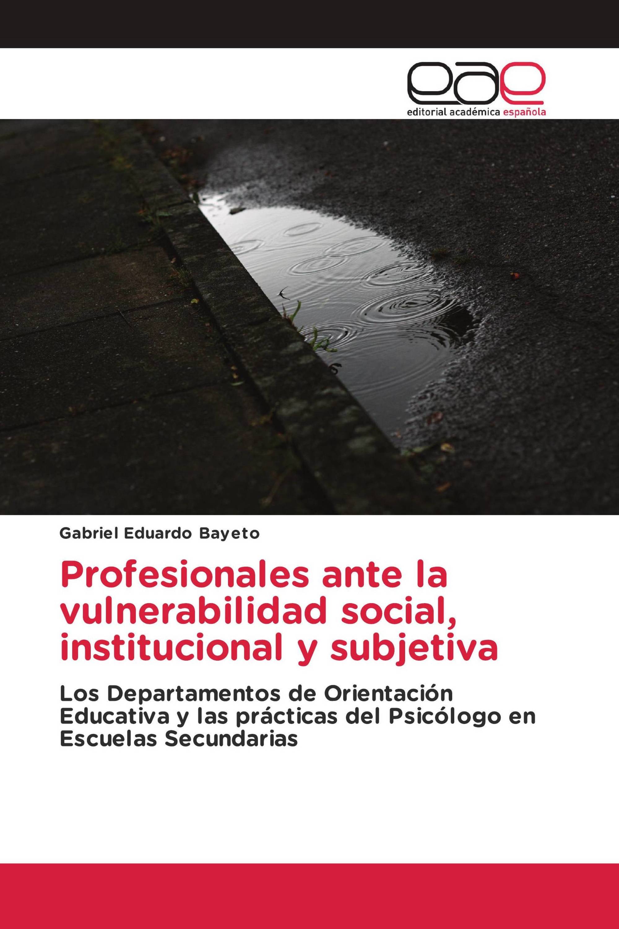 Profesionales ante la vulnerabilidad social, institucional y subjetiva