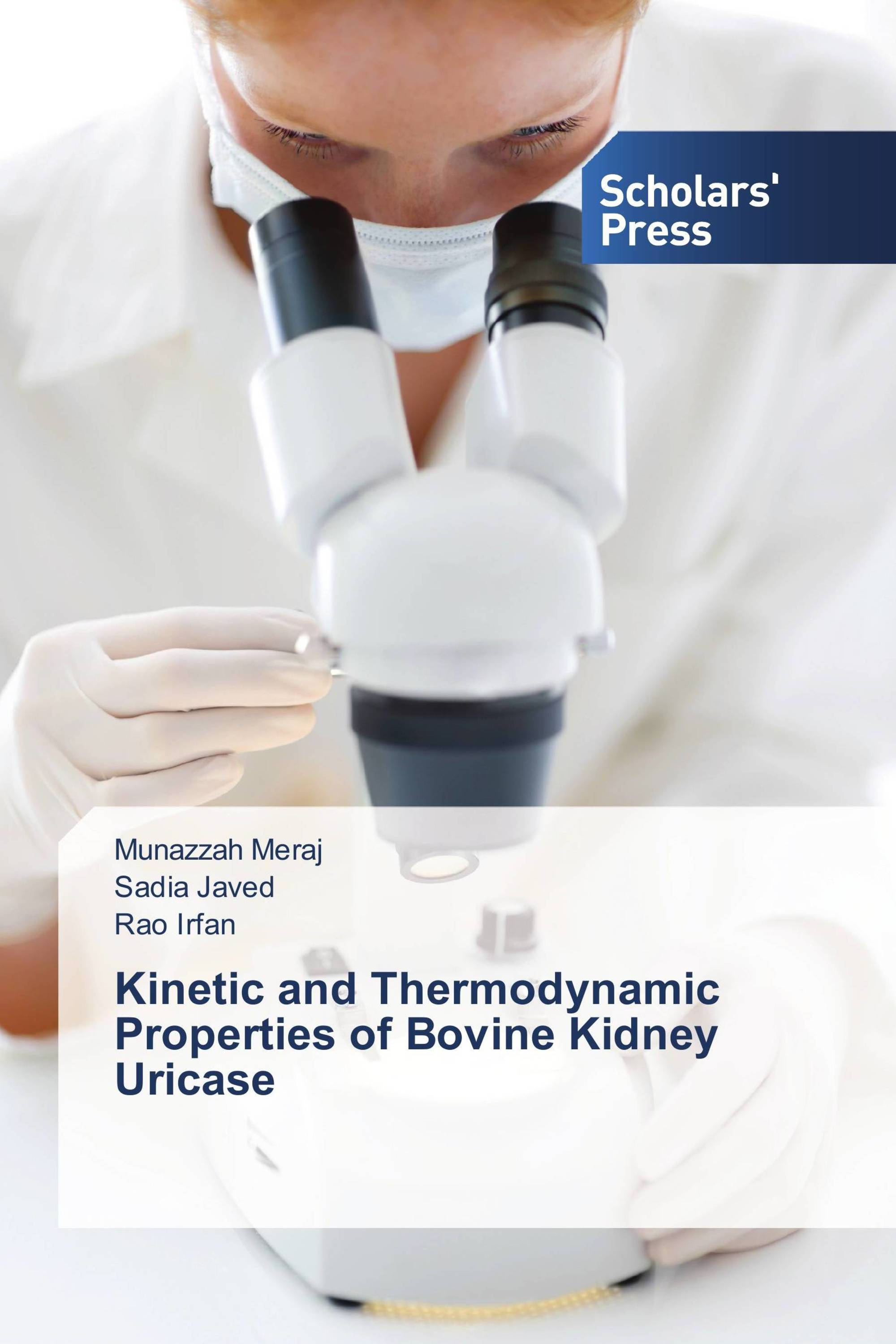 Kinetic and Thermodynamic Properties of Bovine Kidney Uricase