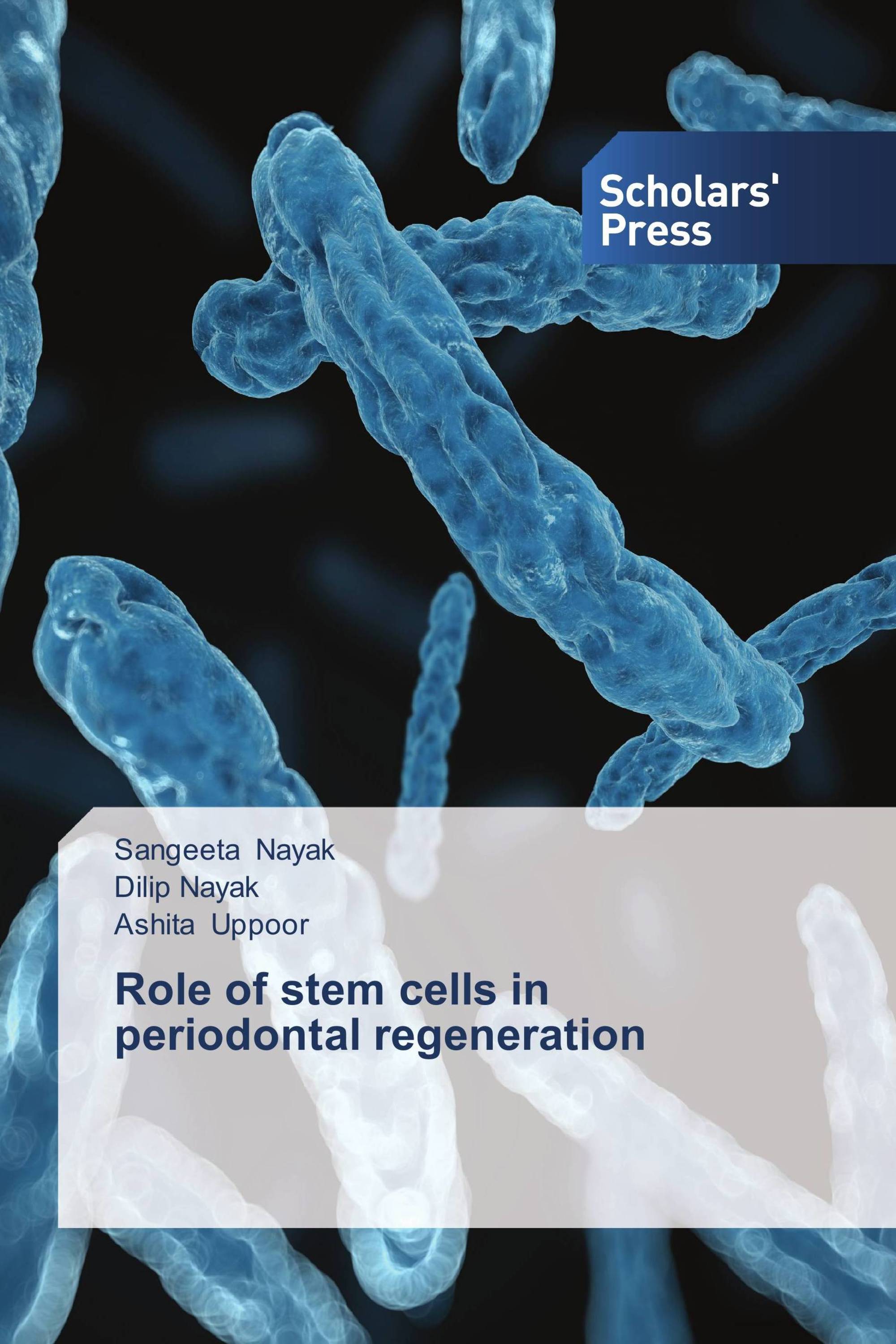 Role of stem cells in periodontal regeneration