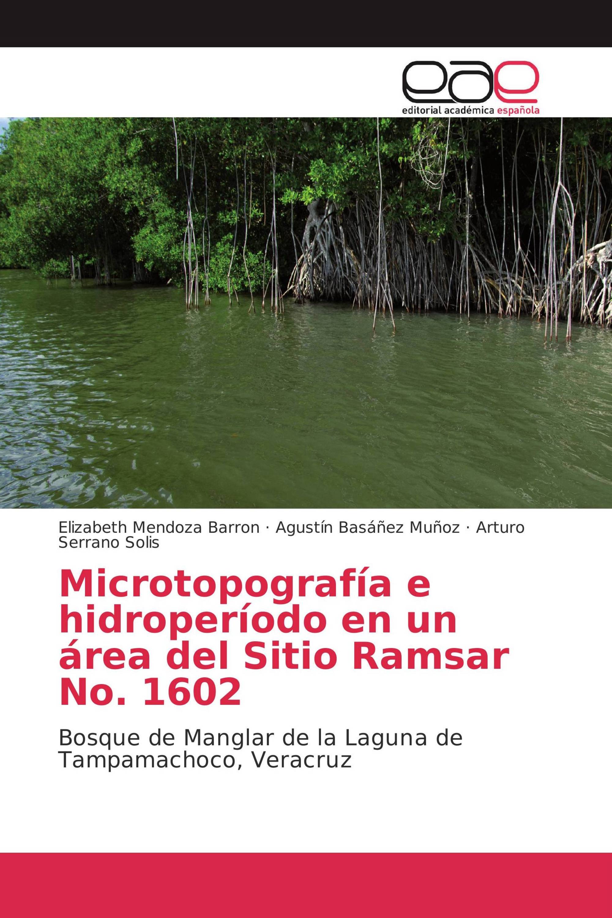 Microtopografía e hidroperíodo en un área del Sitio Ramsar No. 1602