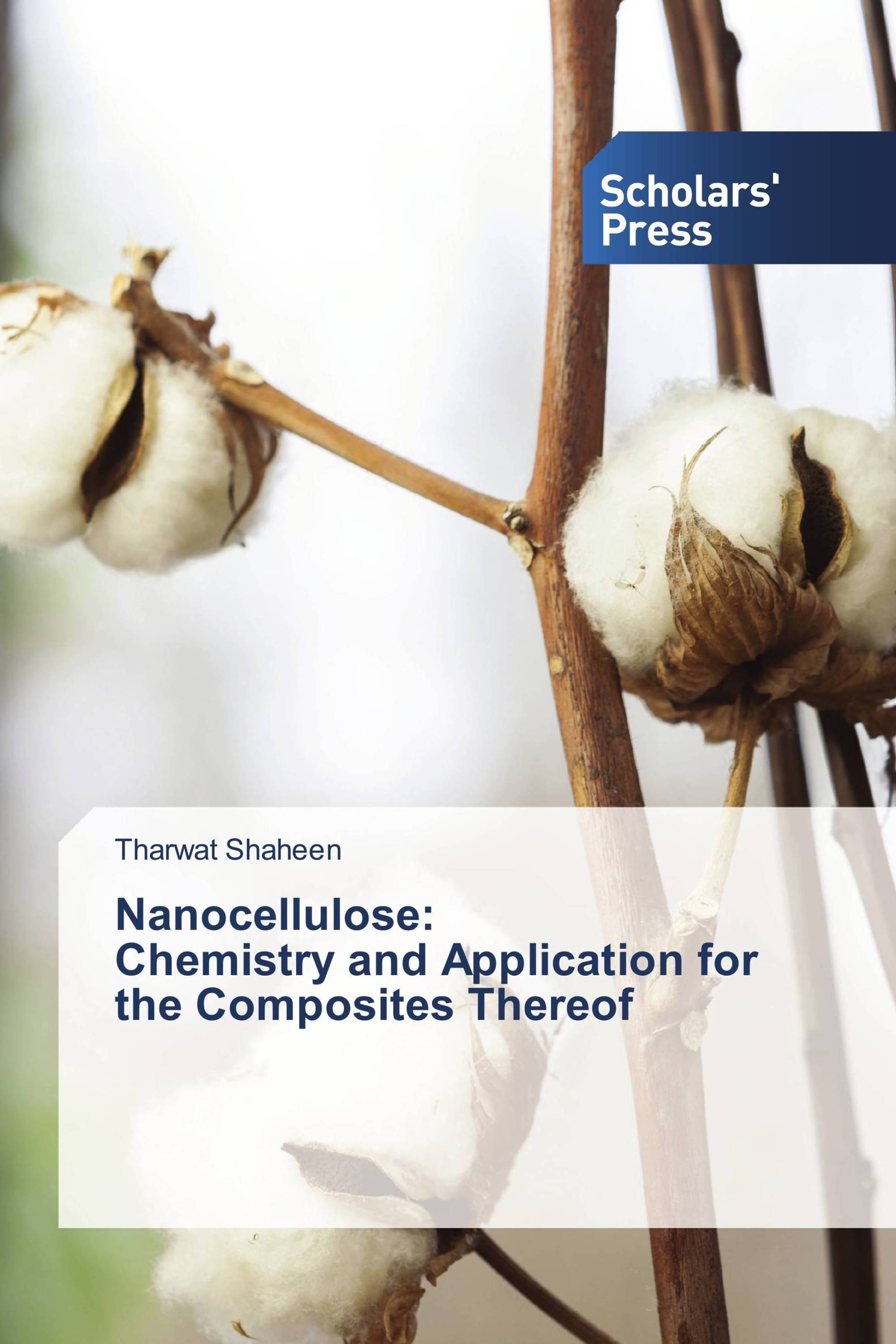 Nanocellulose: Chemistry and Application for the Composites Thereof