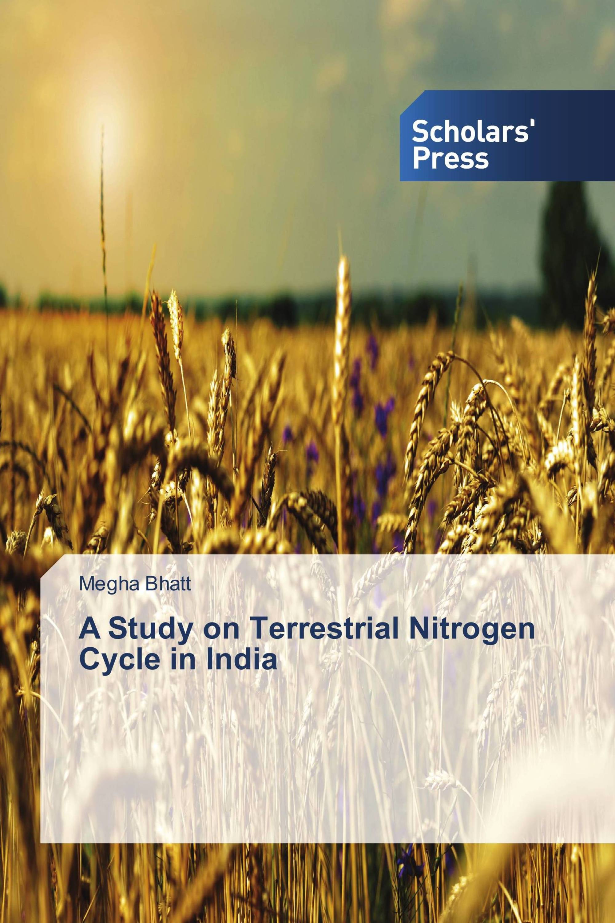 A Study on Terrestrial Nitrogen Cycle in India