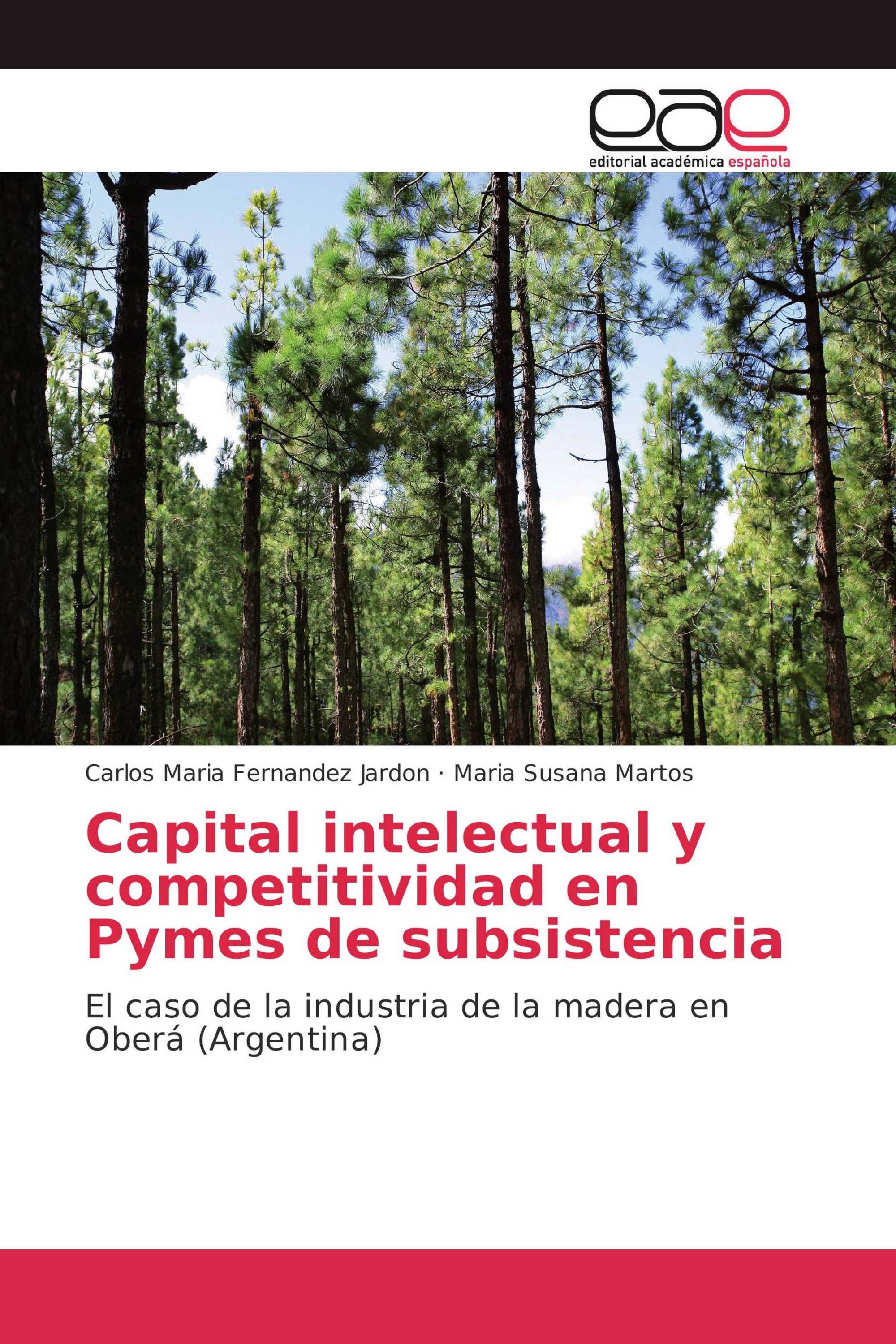 Capital intelectual y competitividad en Pymes de subsistencia