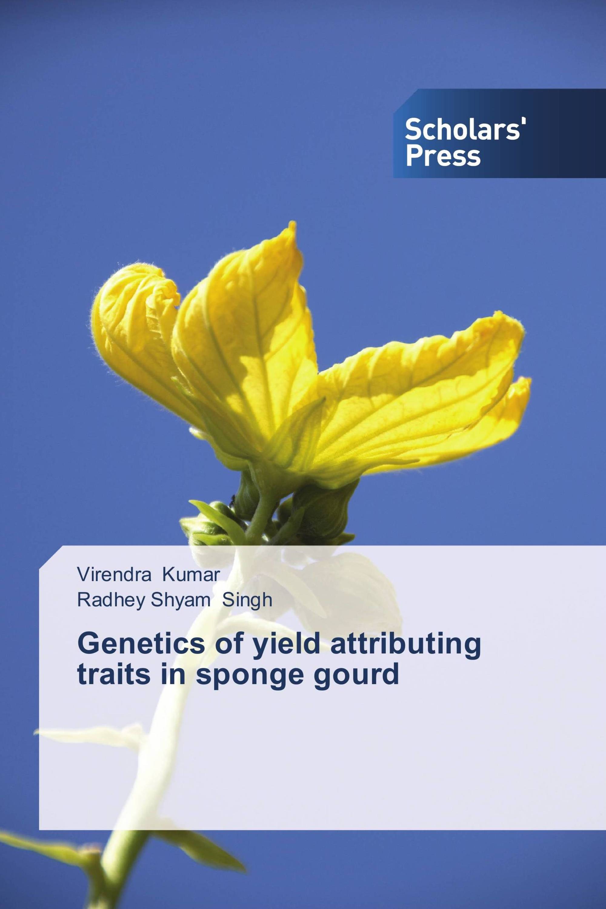 Genetics of yield attributing traits in sponge gourd