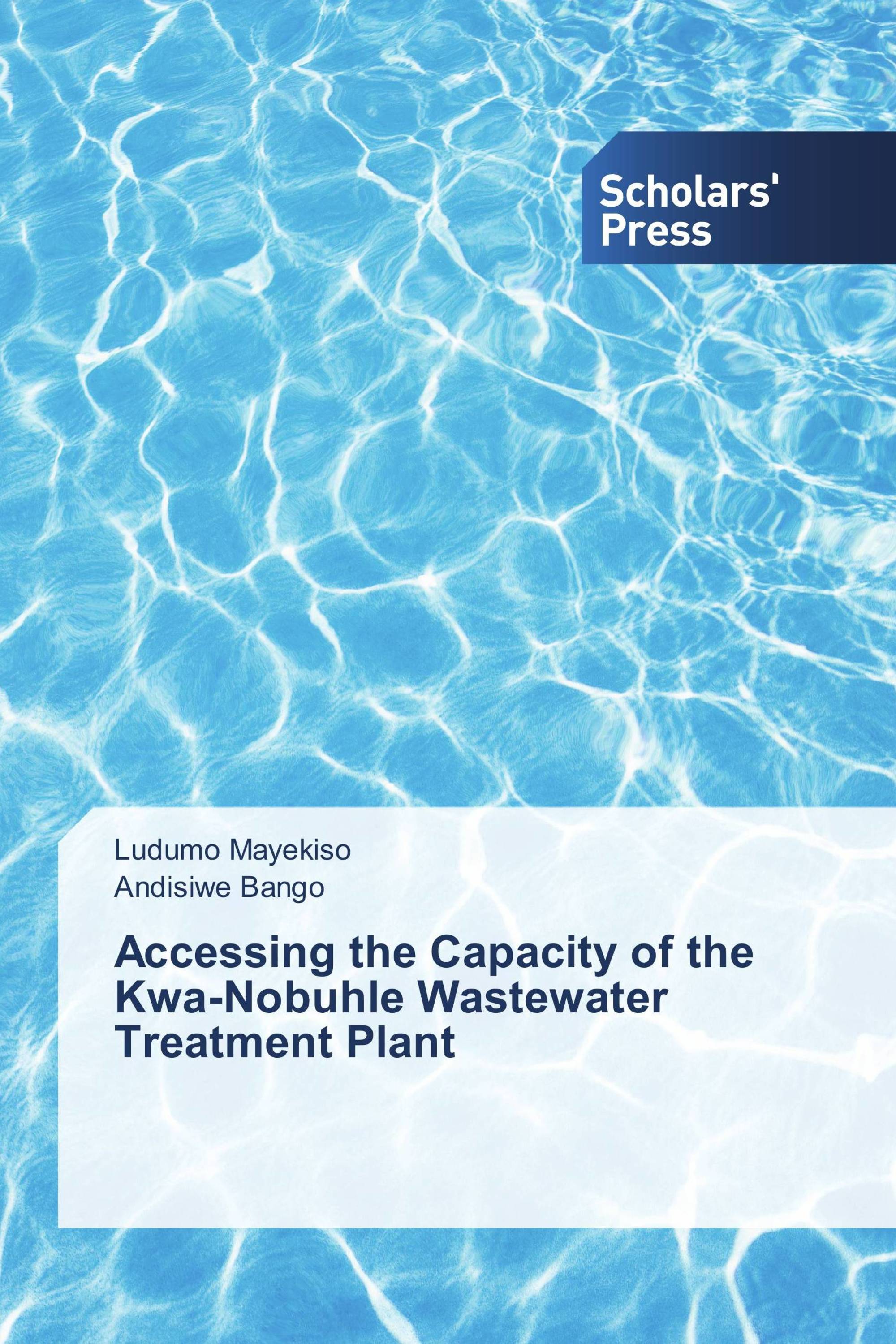 Accessing the Capacity of the Kwa-Nobuhle Wastewater Treatment Plant