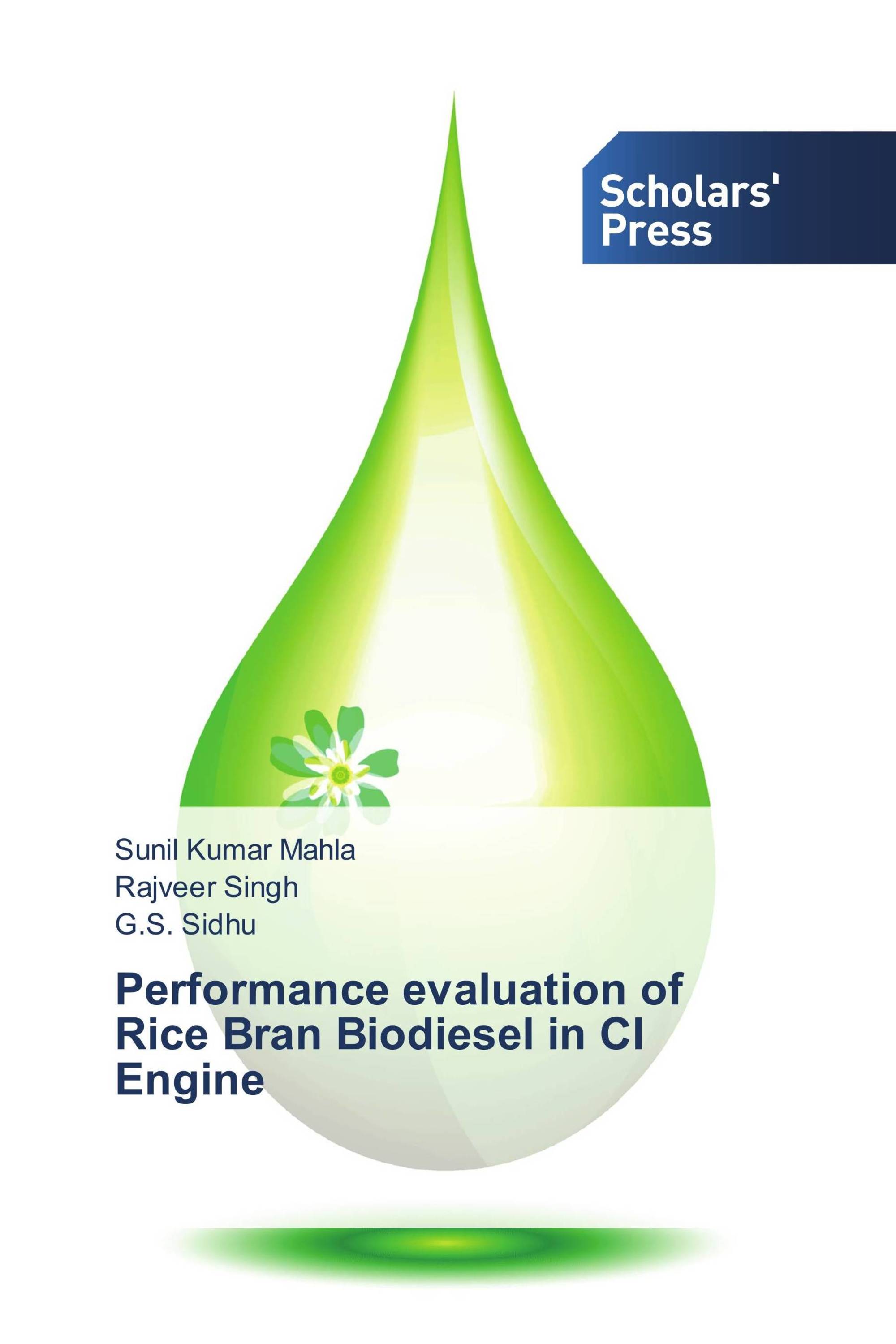 Performance evaluation of Rice Bran Biodiesel in CI Engine