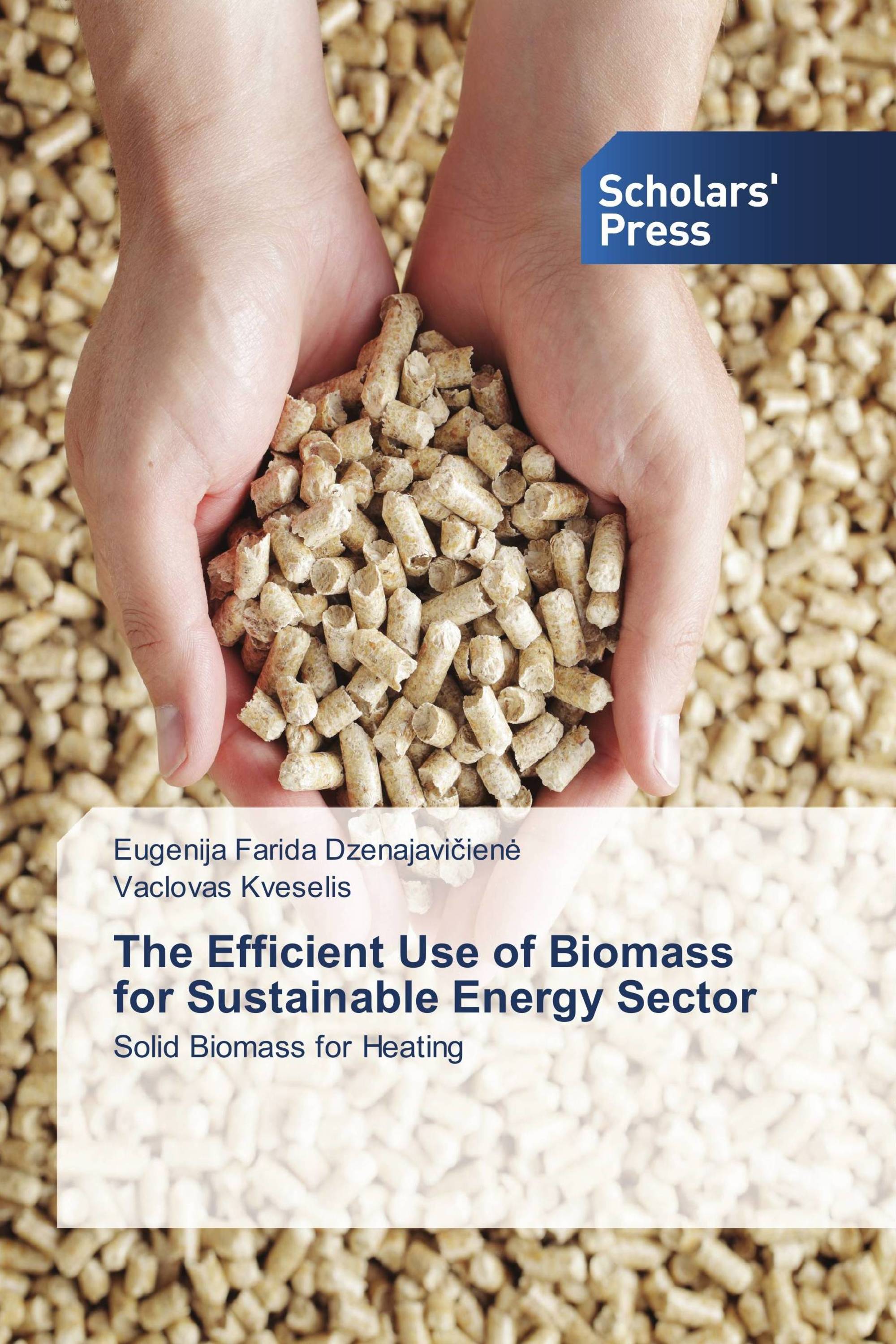 The Efficient Use of Biomass for Sustainable Energy Sector