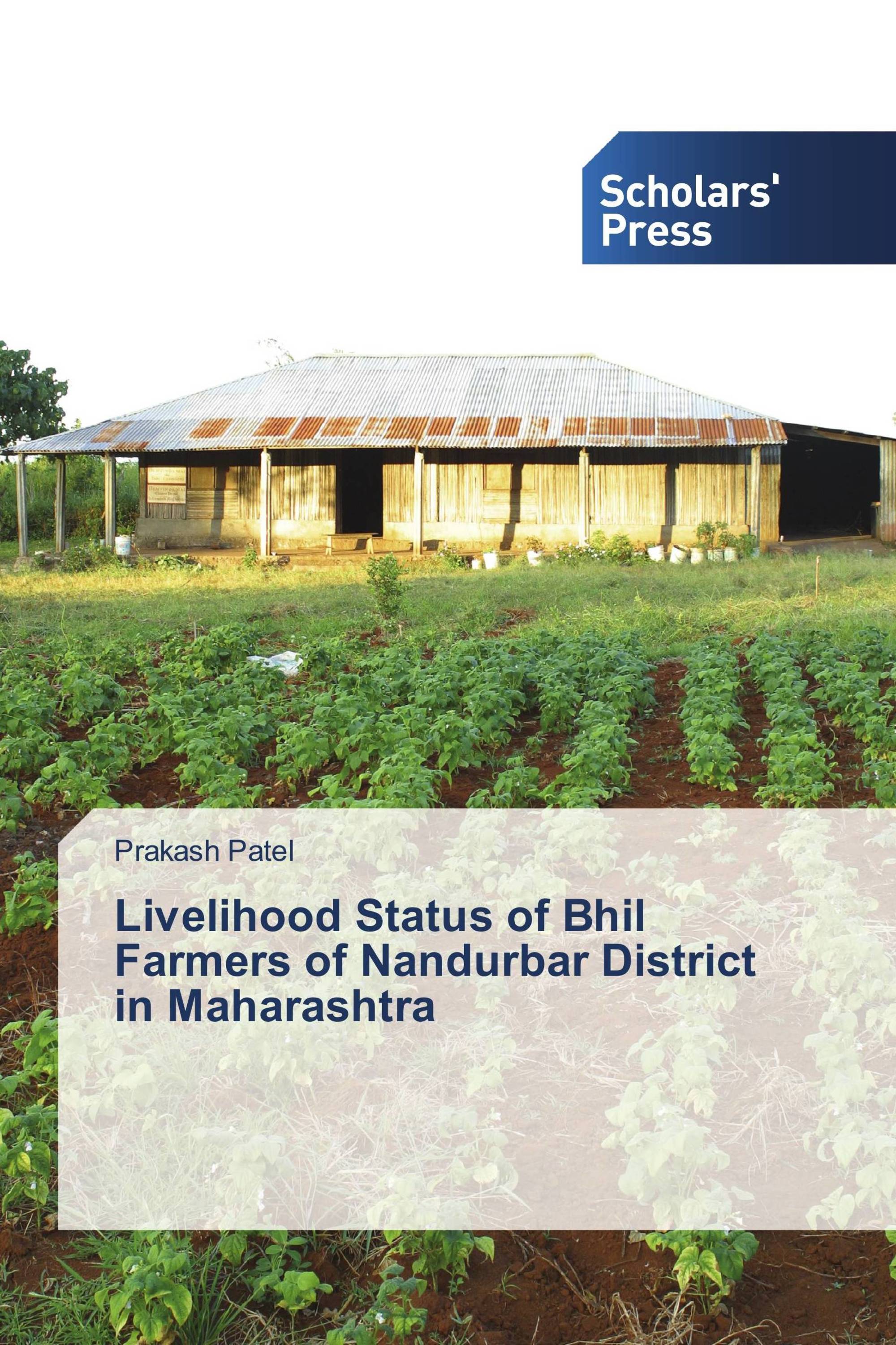 Livelihood Status of Bhil Farmers of Nandurbar District in Maharashtra