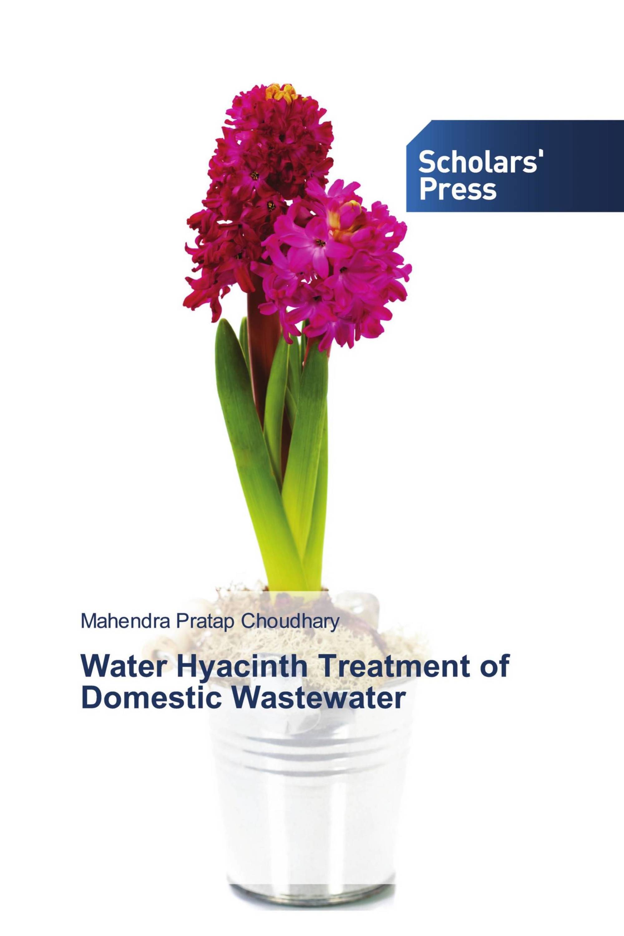 Water Hyacinth Treatment of Domestic Wastewater