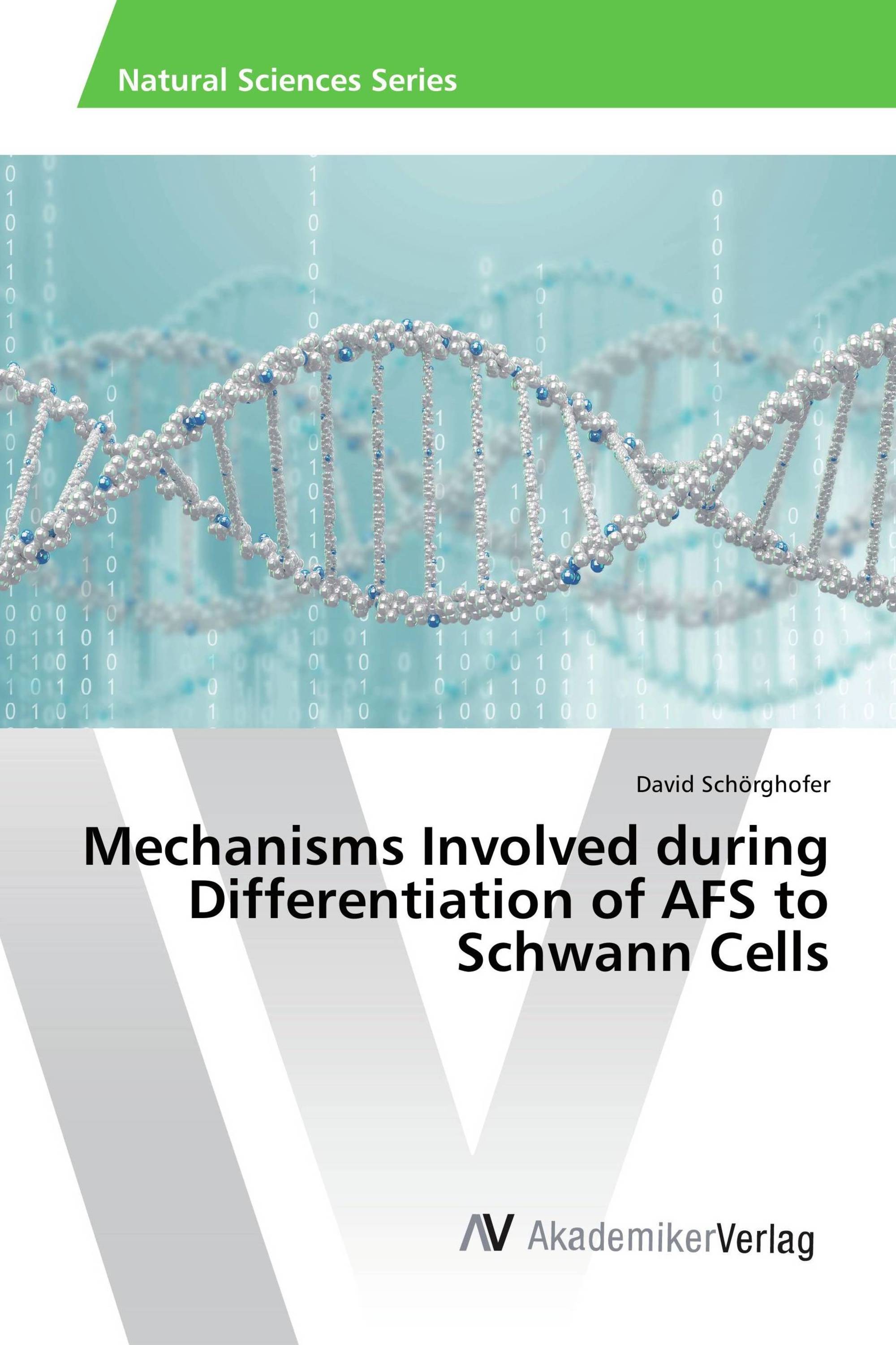 Mechanisms Involved during Differentiation of AFS to Schwann Cells