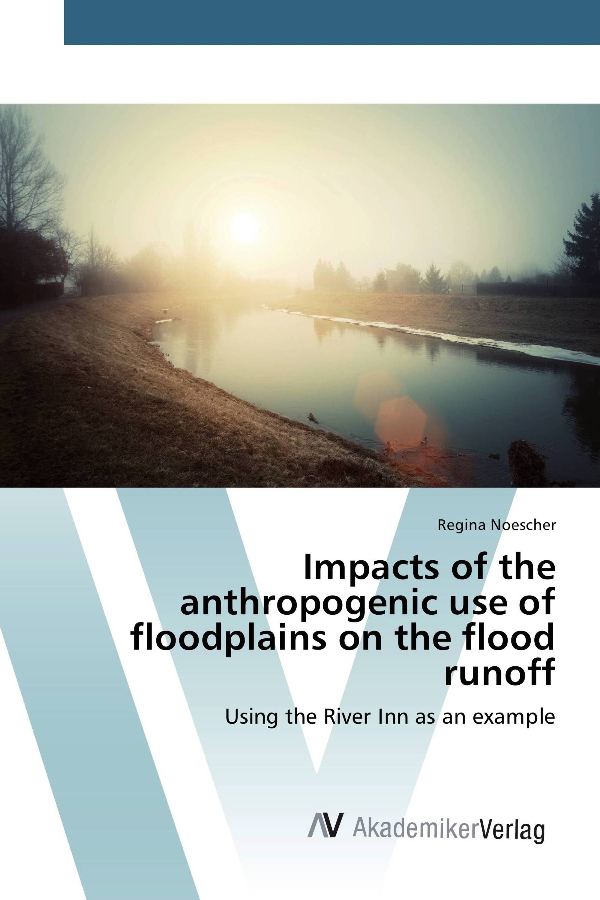 Impacts of the anthropogenic use of floodplains on the flood runoff