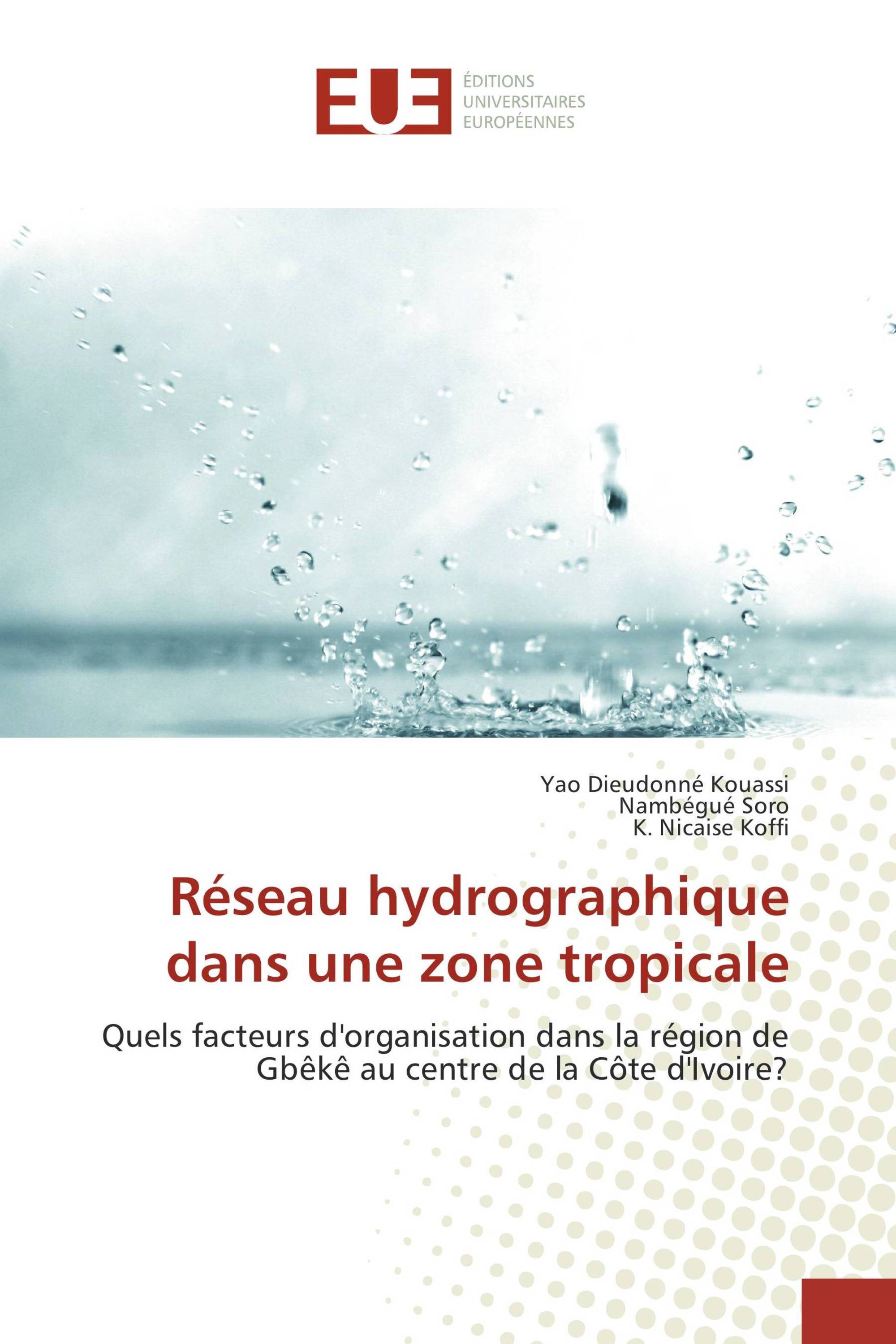 Réseau hydrographique dans une zone tropicale