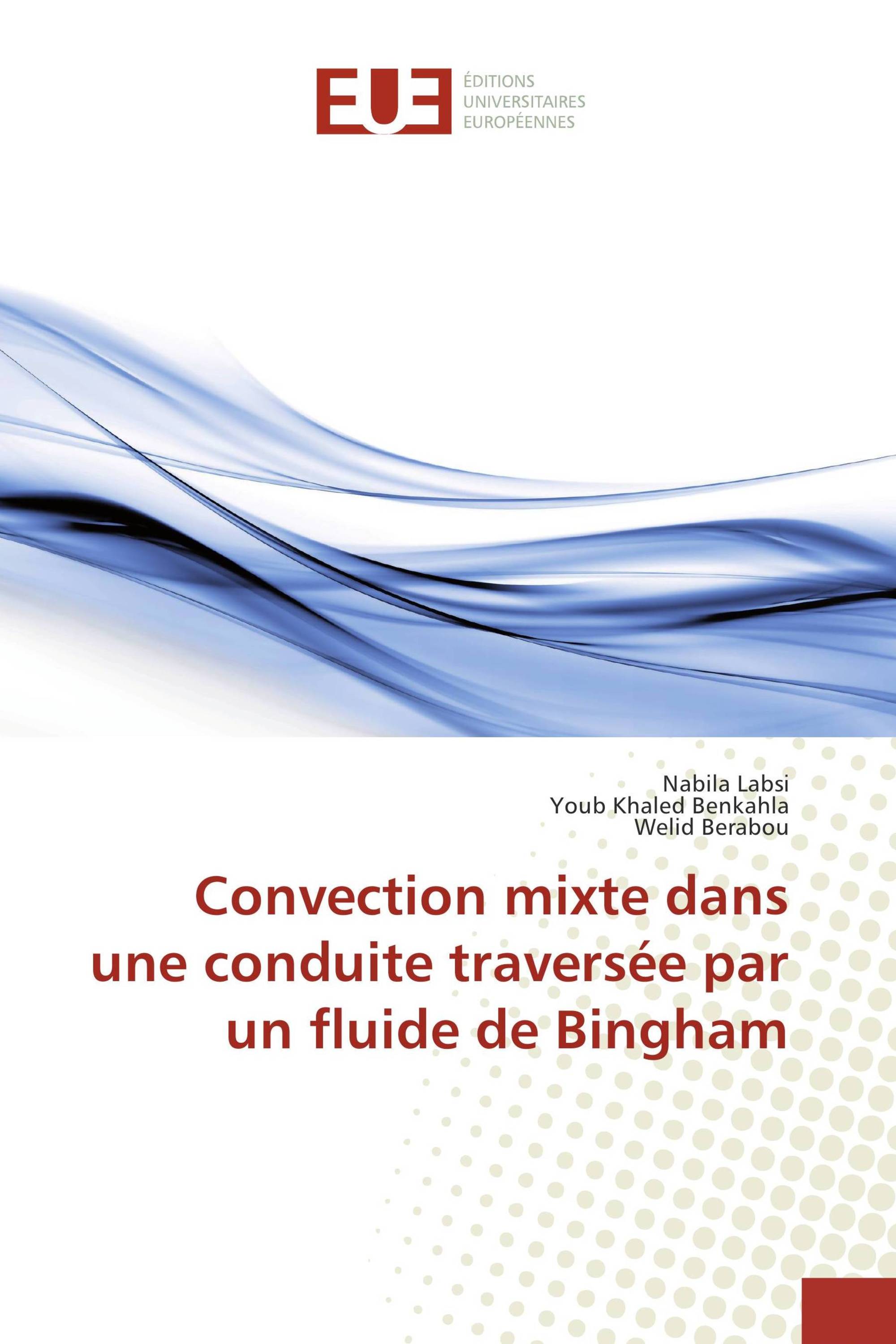 Convection mixte dans une conduite traversée par un fluide de Bingham