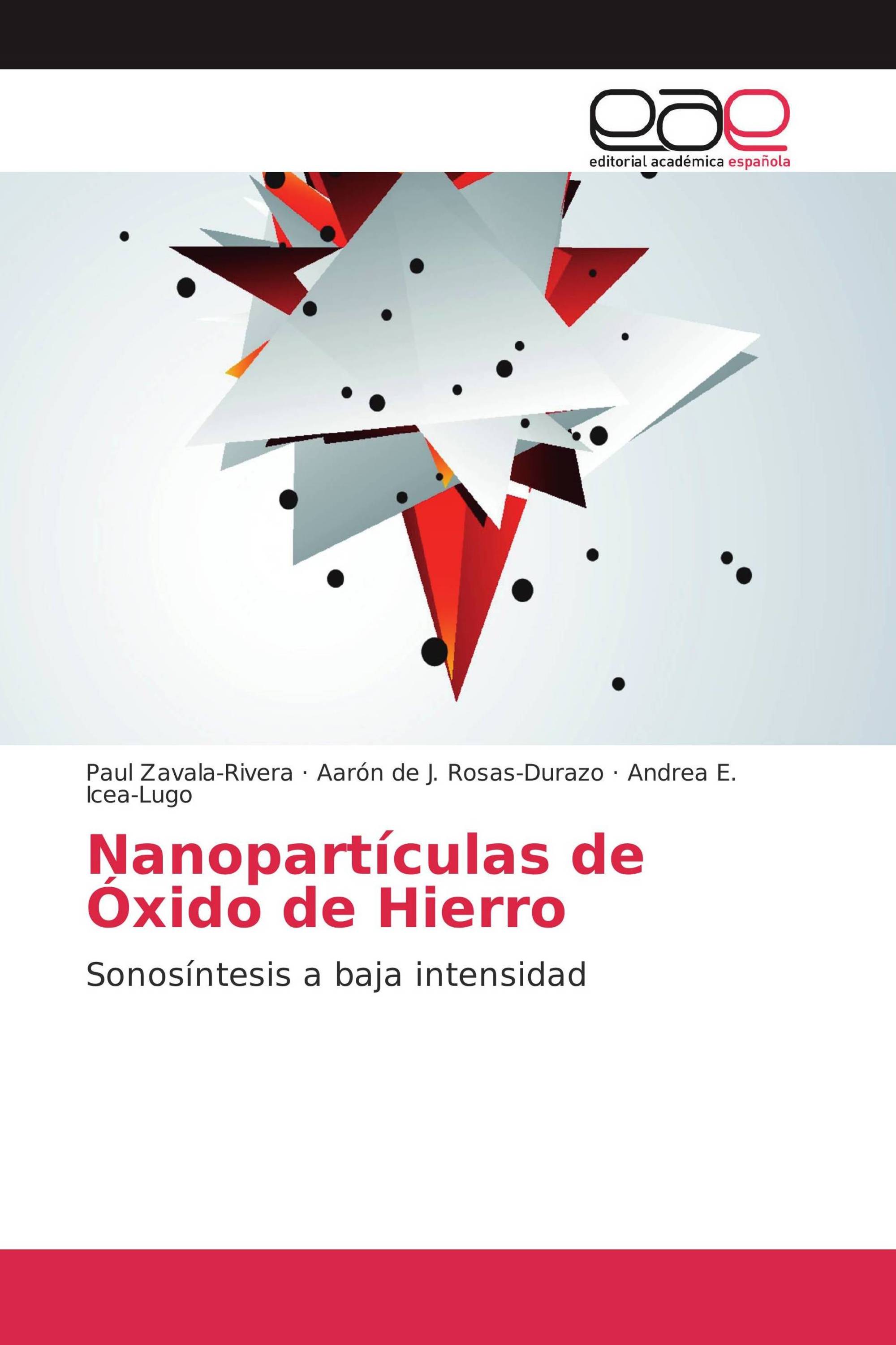 Nanopartículas de Óxido de Hierro