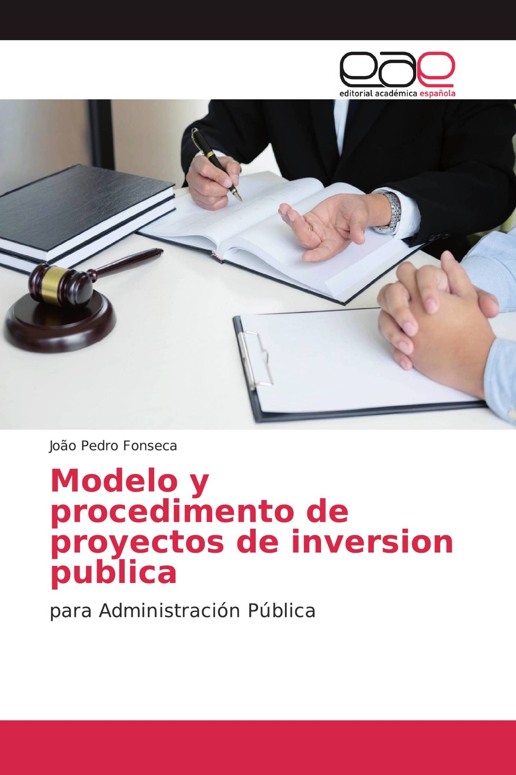 Modelo y procedimento de proyectos de inversion publica