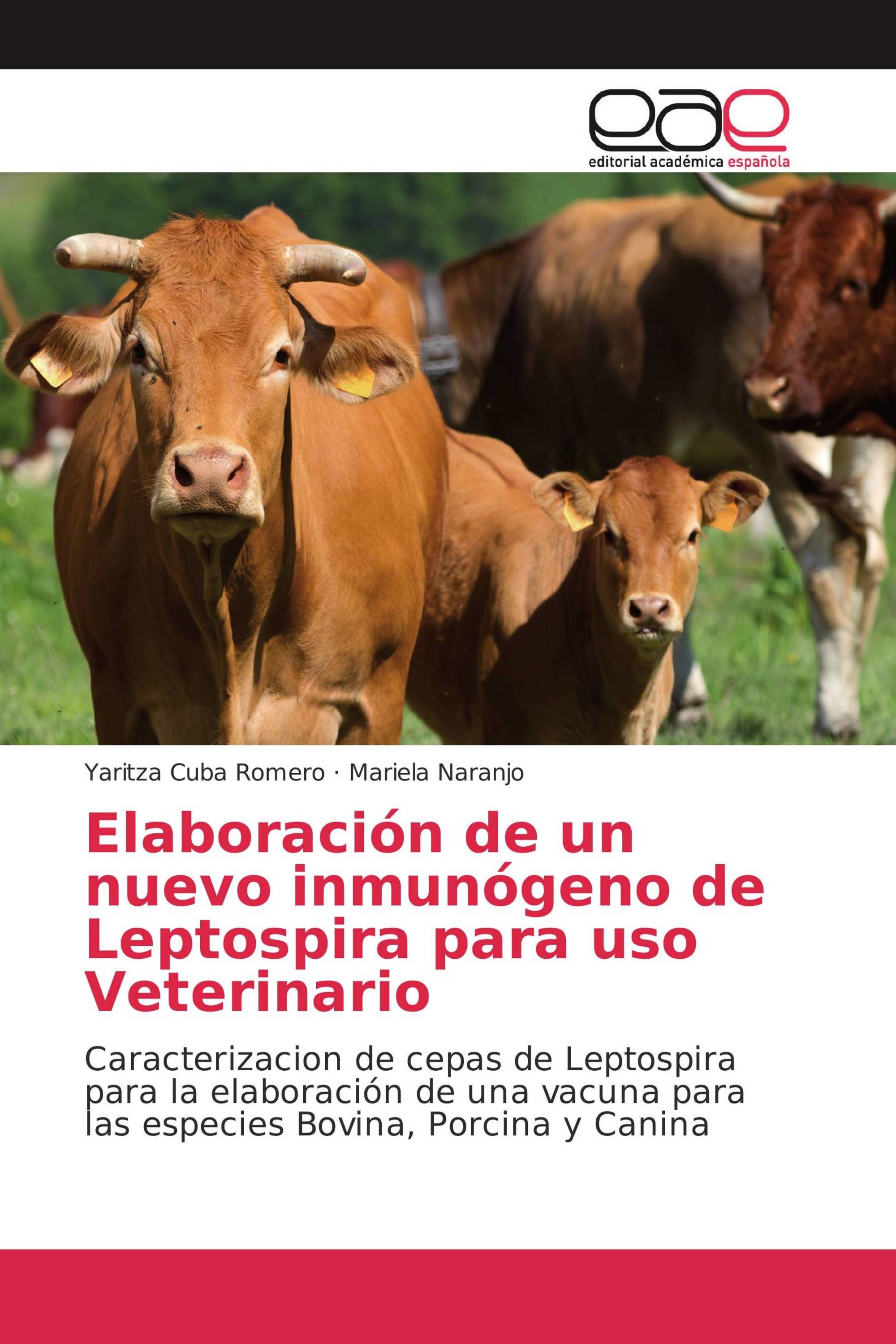 Elaboración de un nuevo inmunógeno de Leptospira para uso Veterinario