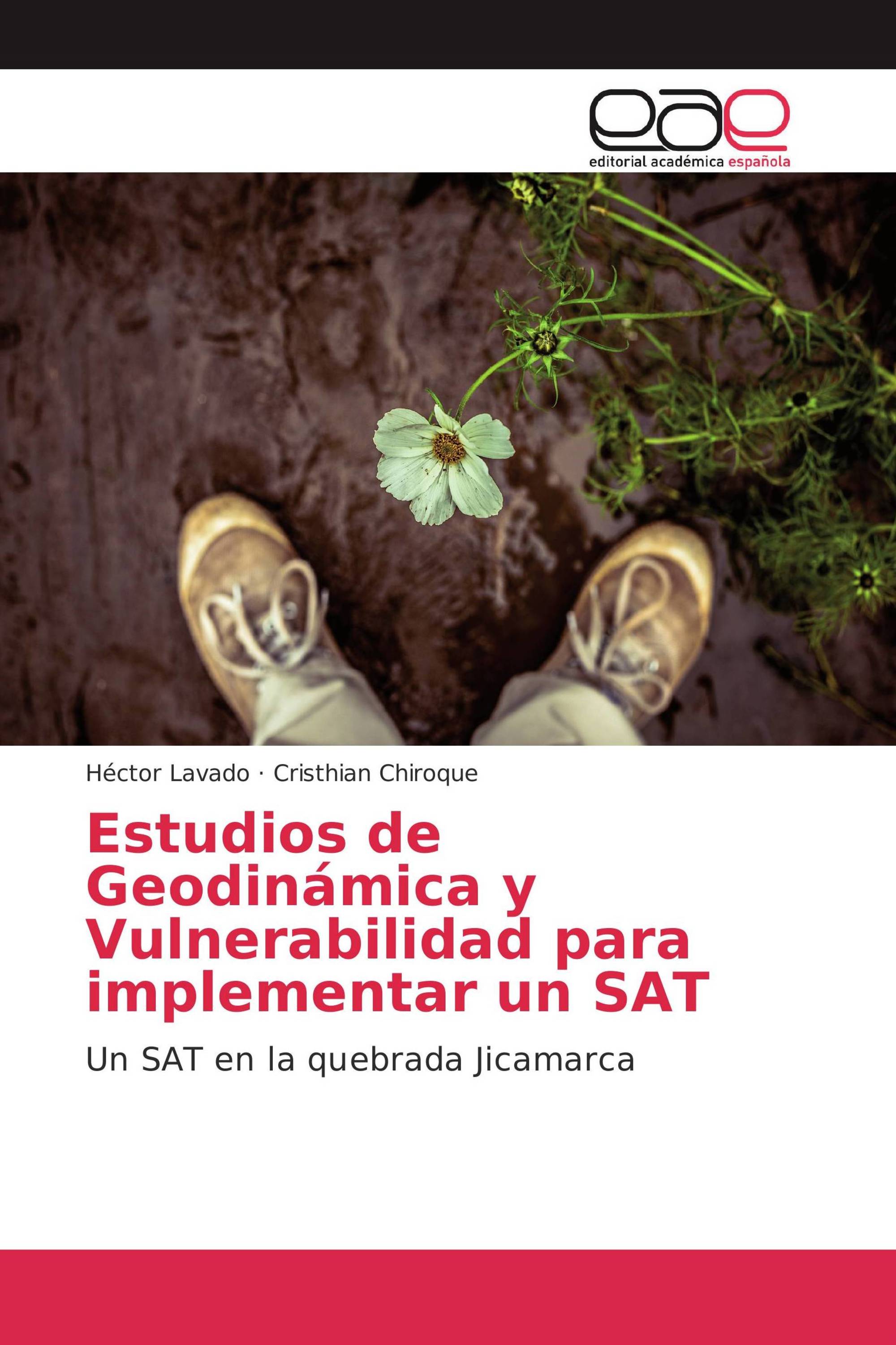 Estudios de Geodinámica y Vulnerabilidad para implementar un SAT