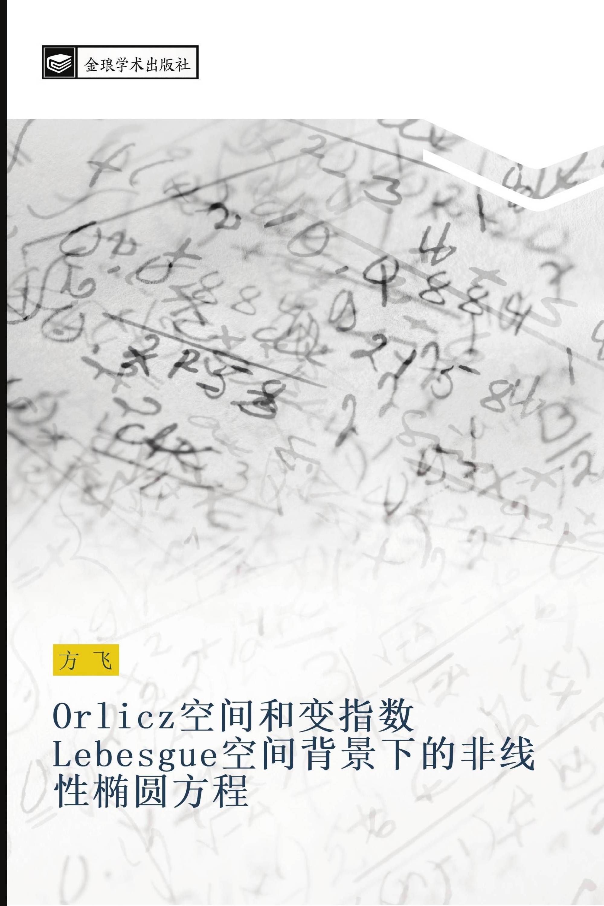 Orlicz空间和变指数Lebesgue空间背景下的非线性椭圆方程