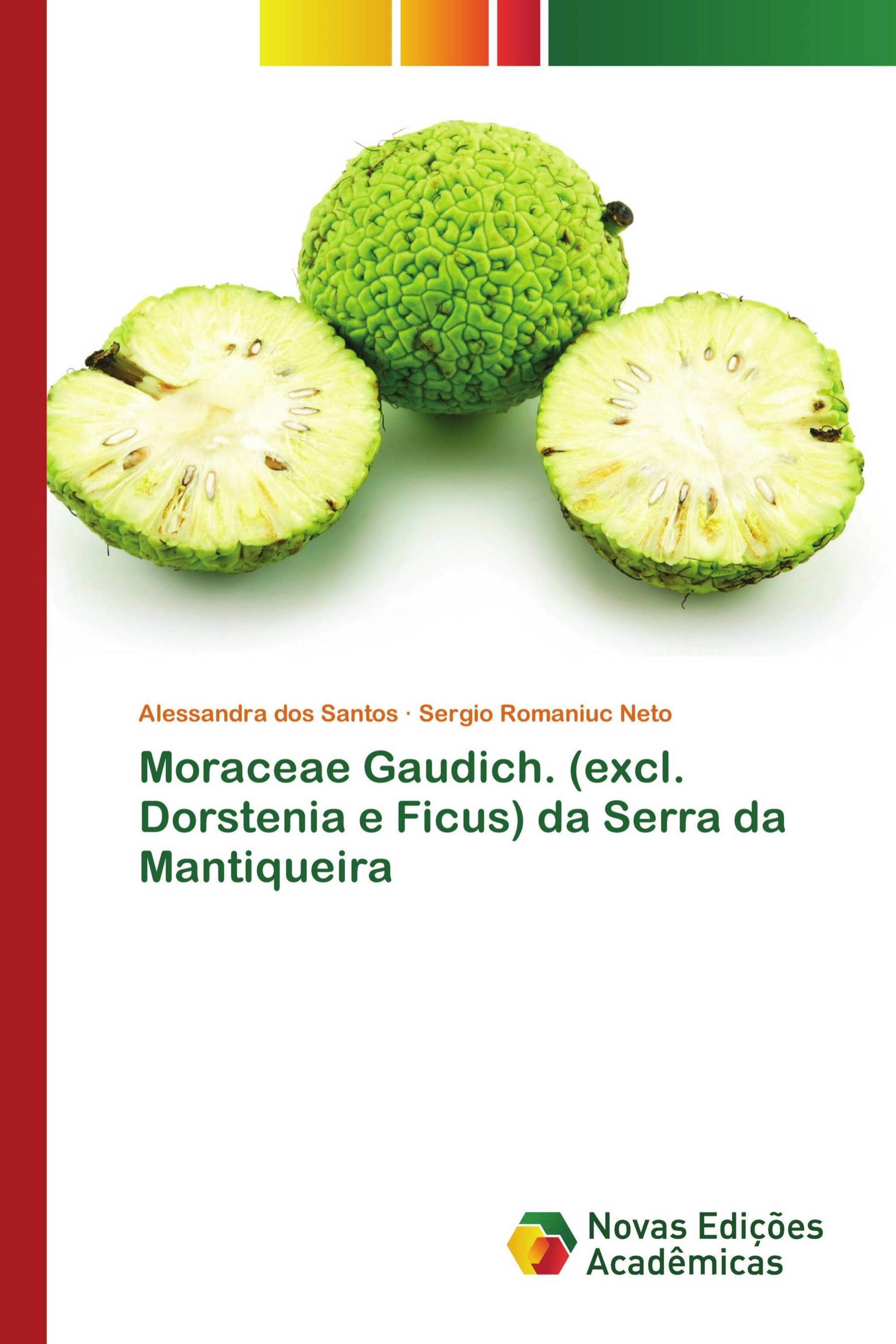 Moraceae Gaudich. (excl. Dorstenia e Ficus) da Serra da Mantiqueira