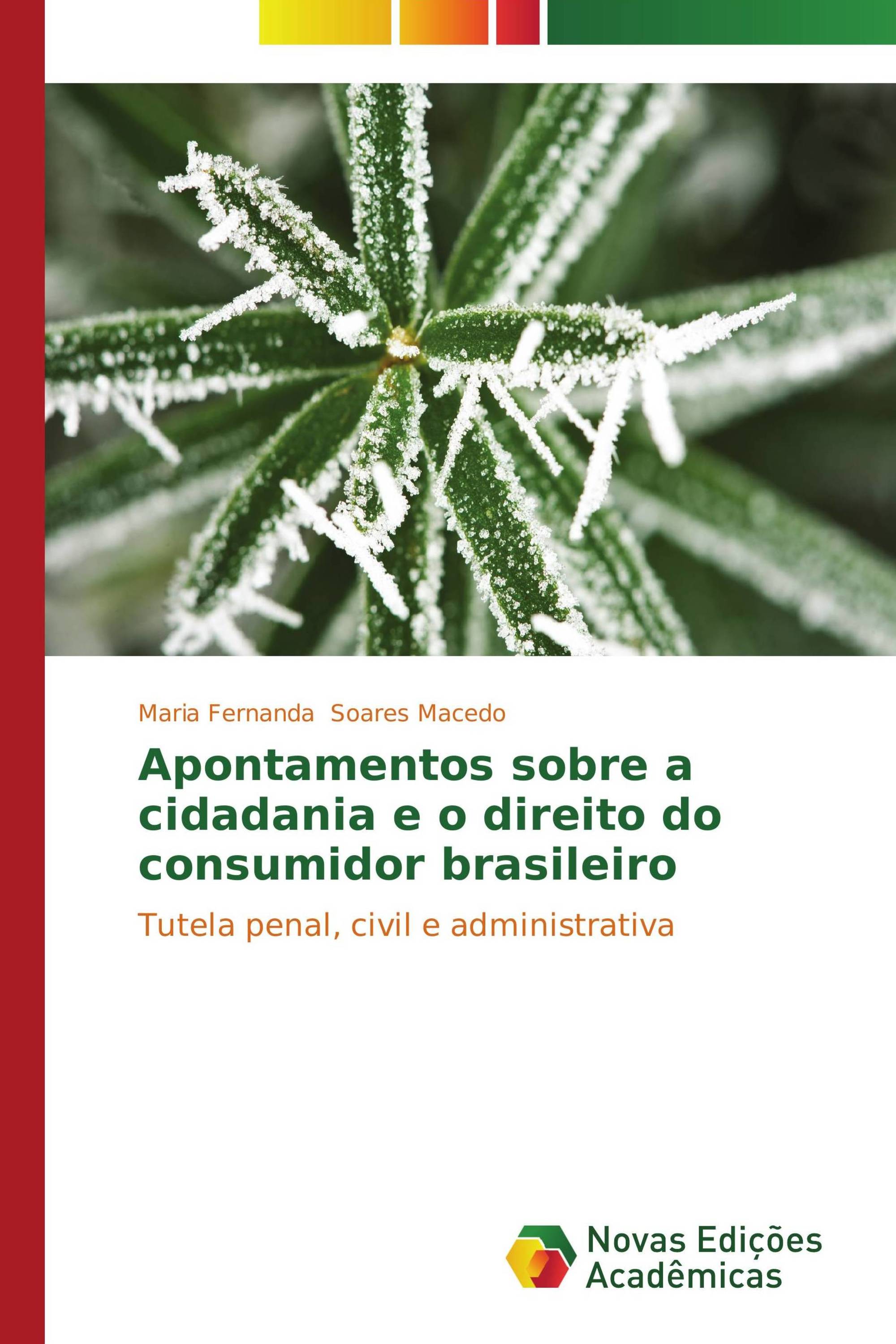 Apontamentos sobre a cidadania e o direito do consumidor brasileiro