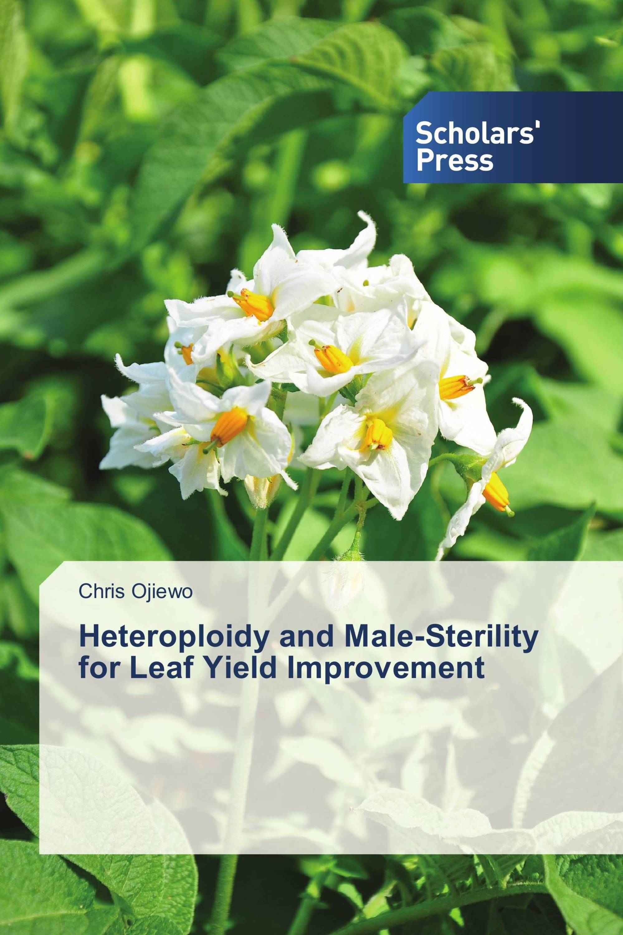 Heteroploidy and Male-Sterility for Leaf Yield Improvement