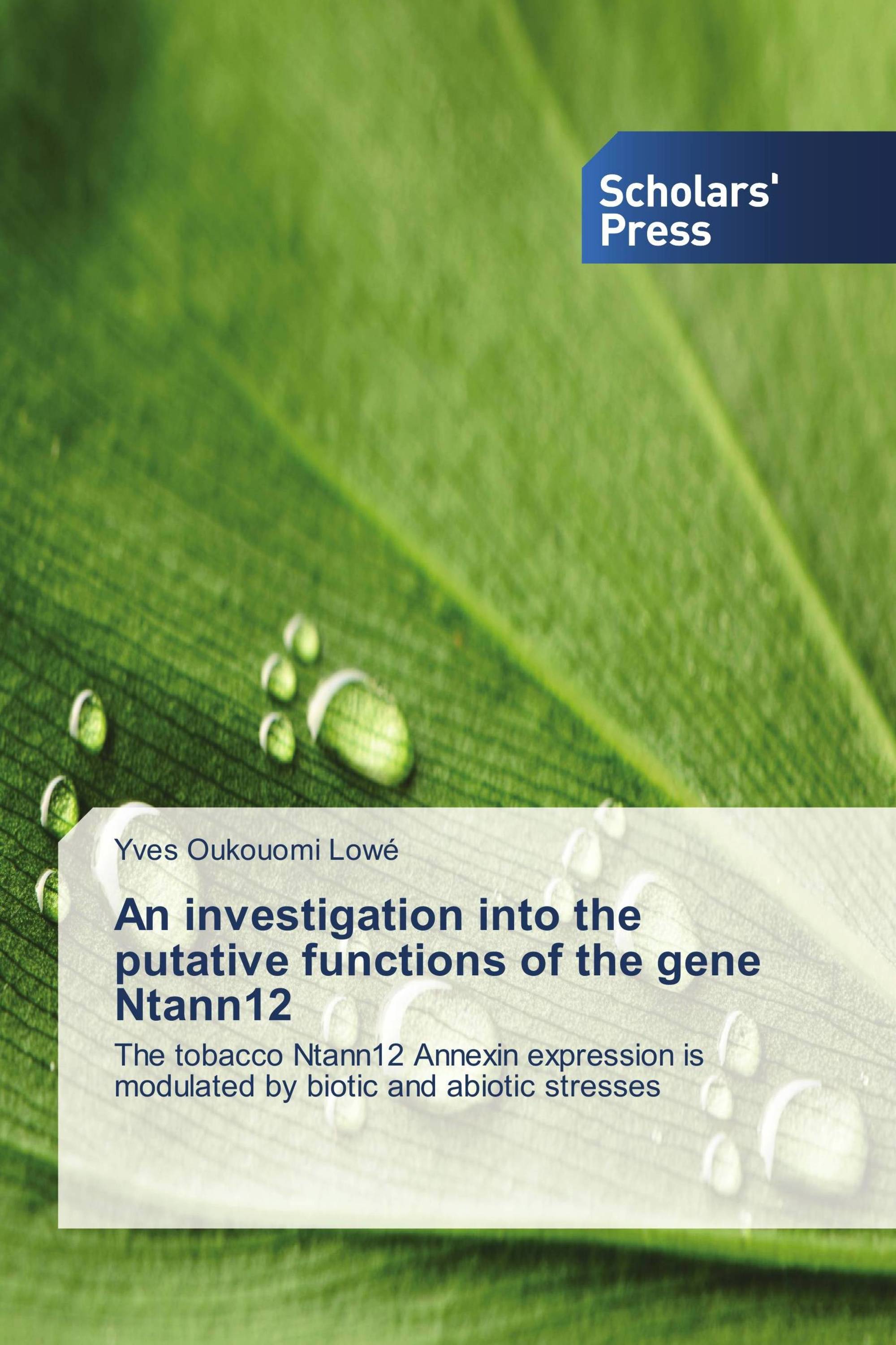 An investigation into the putative functions of the gene Ntann12