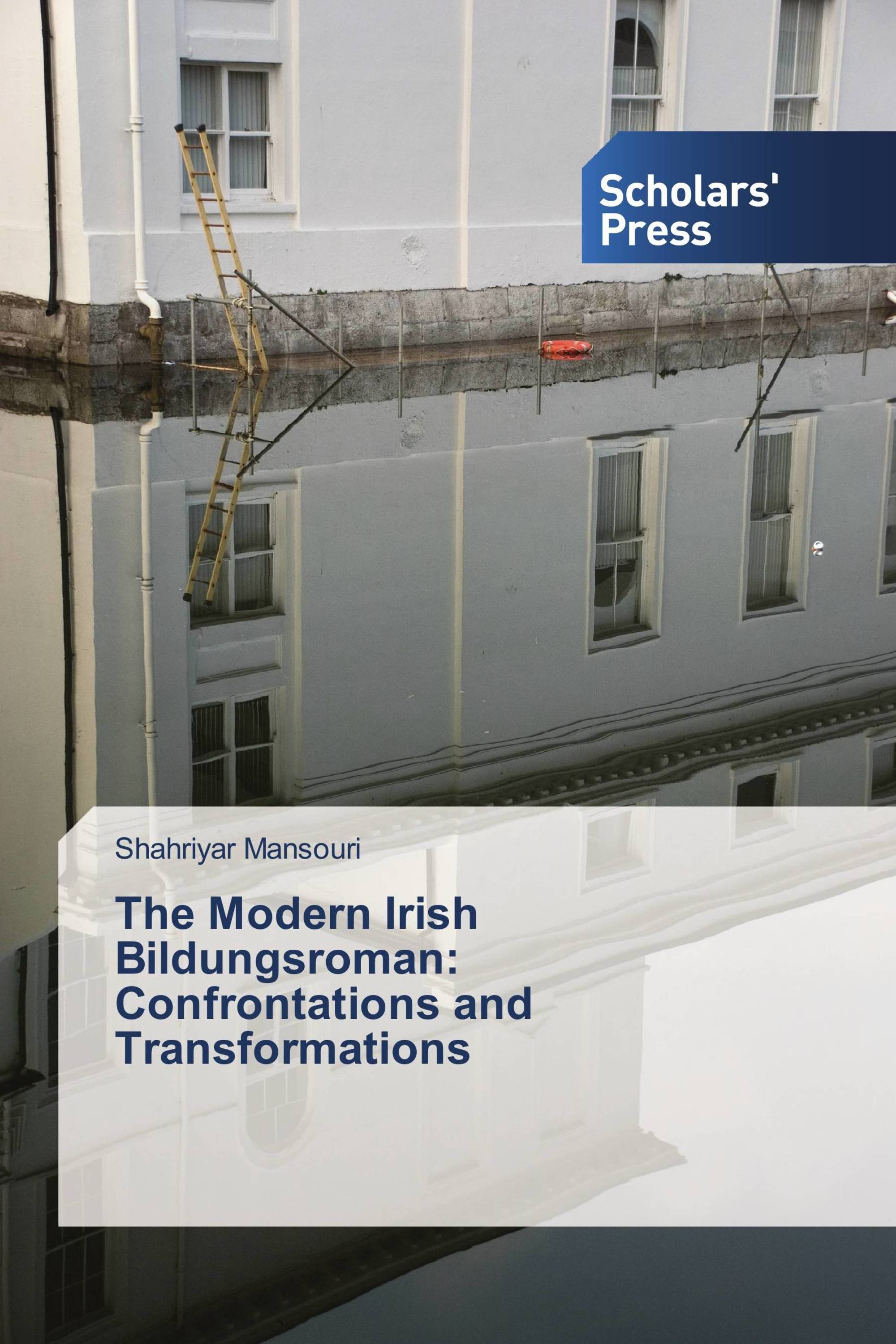 The Modern Irish Bildungsroman: Confrontations and Transformations