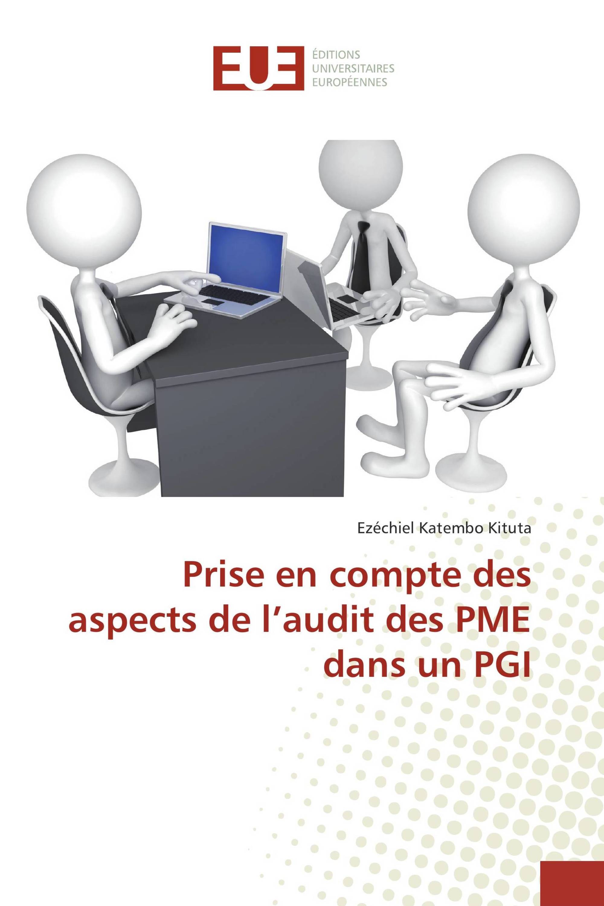 Prise en compte des aspects de l’audit des PME dans un PGI