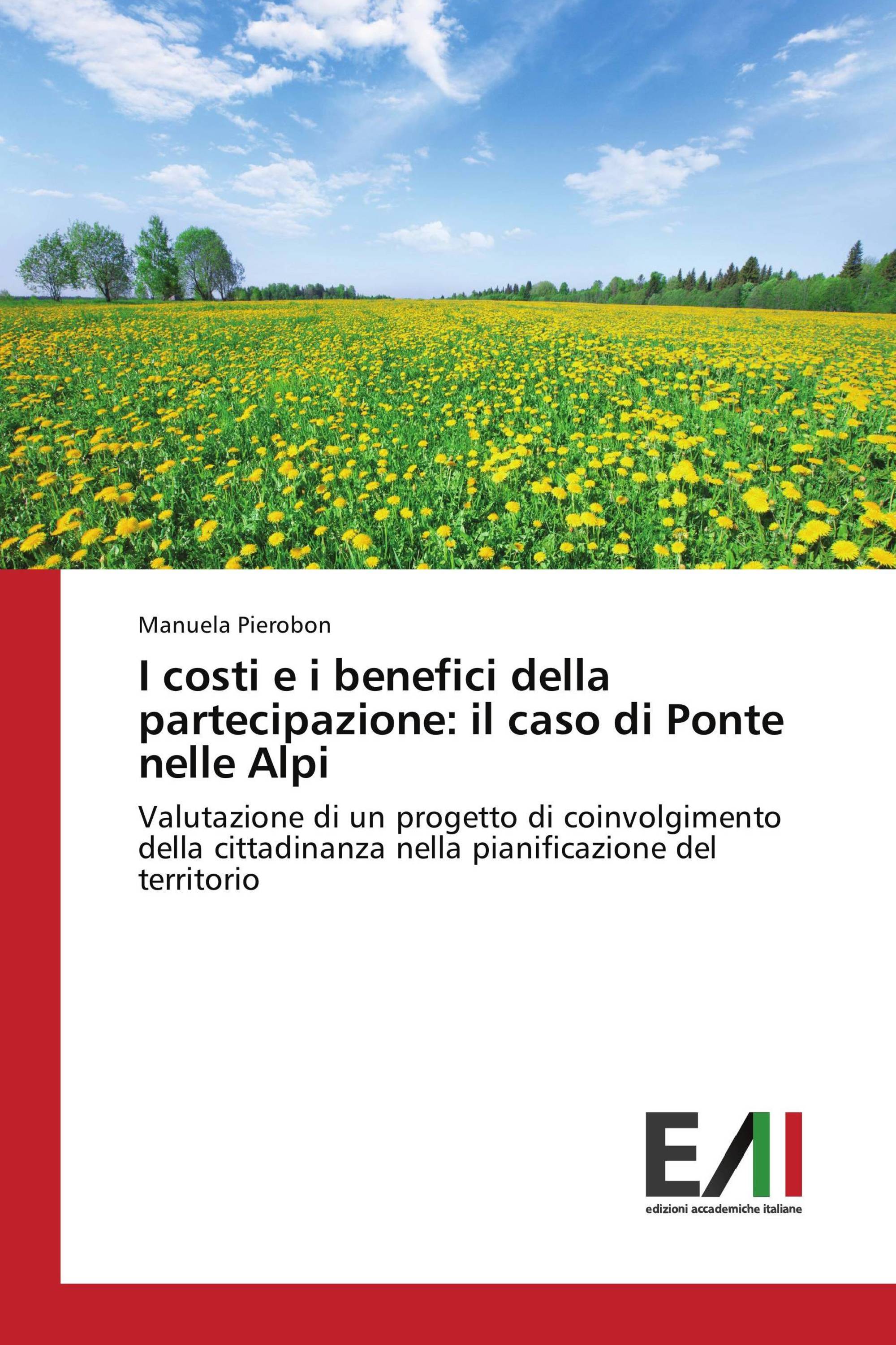 I costi e i benefici della partecipazione: il caso di Ponte nelle Alpi